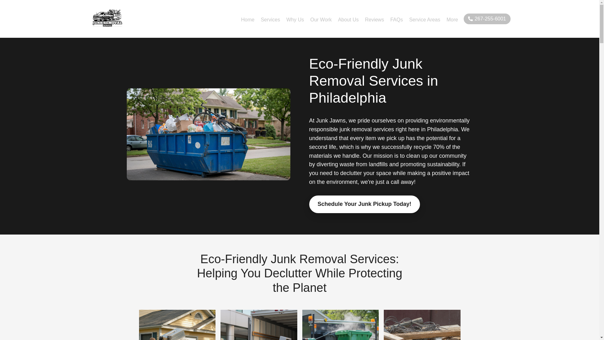website screenshot of https://junkjawns.com/