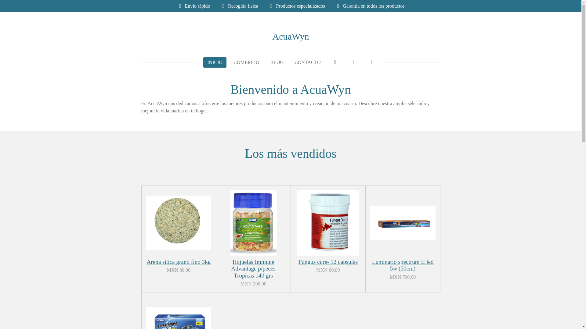website screenshot of https://acuawyn.com/