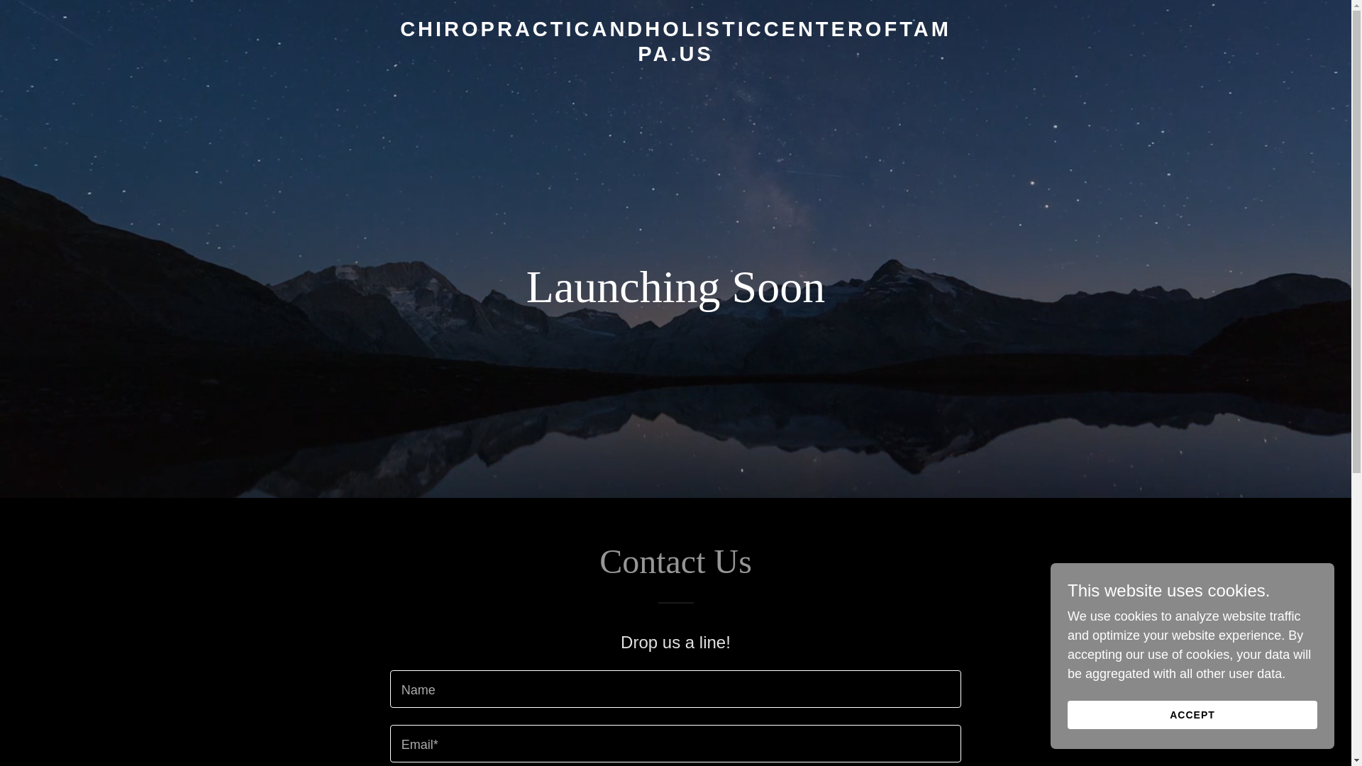 website screenshot of https://chiropracticandholisticcenteroftampa.us/