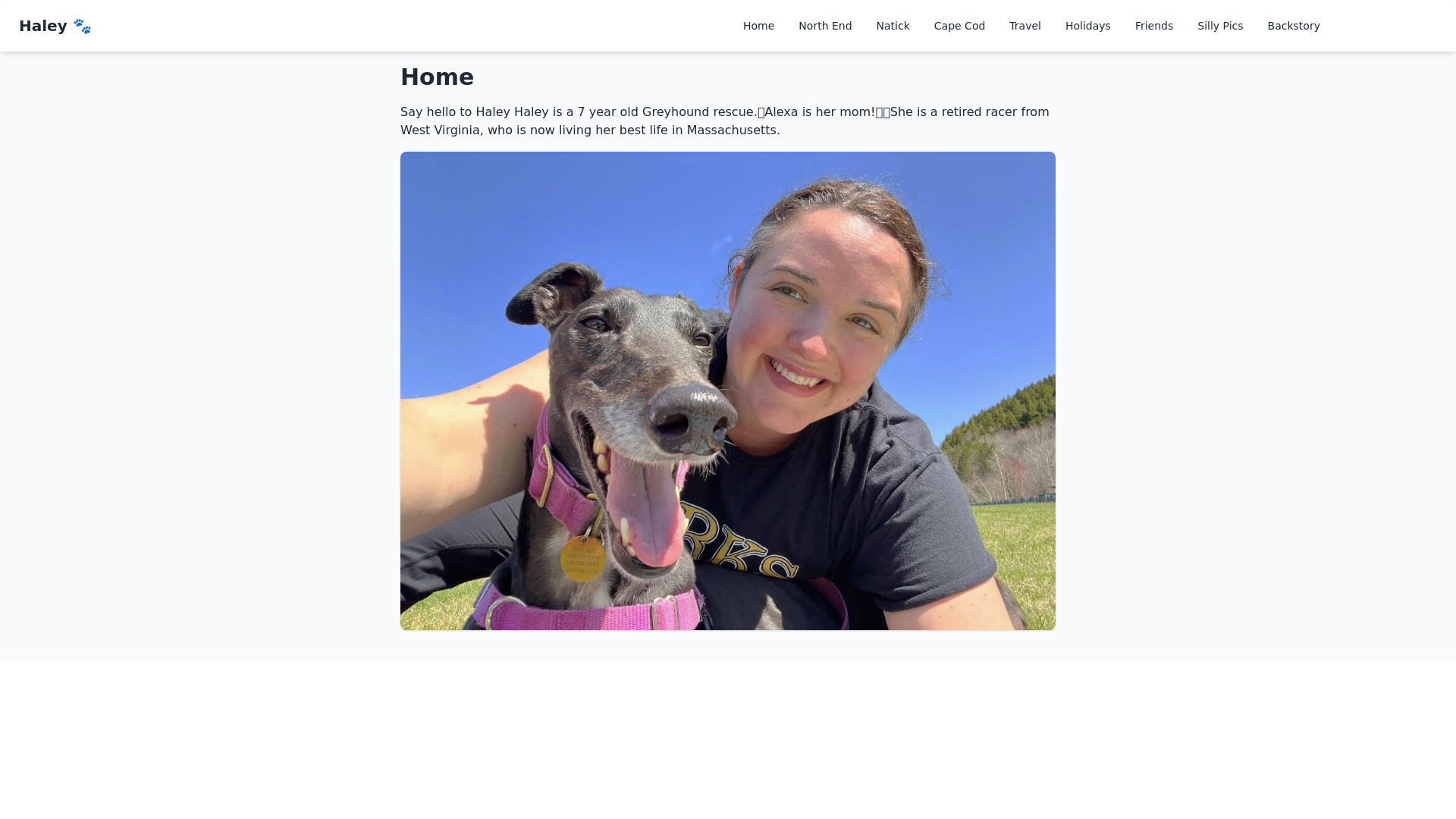 website screenshot of https://haley-site-an9.pages.dev/