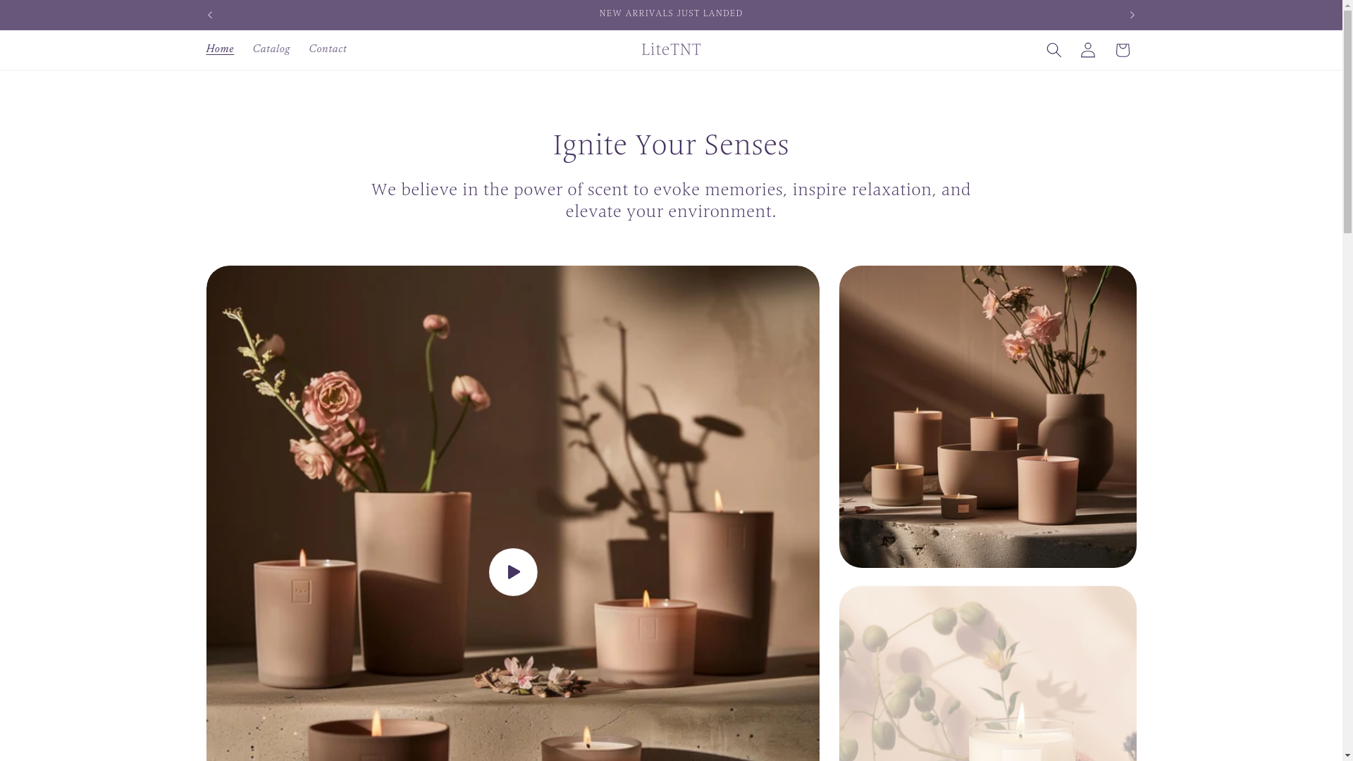 website screenshot of https://litetnt.com/