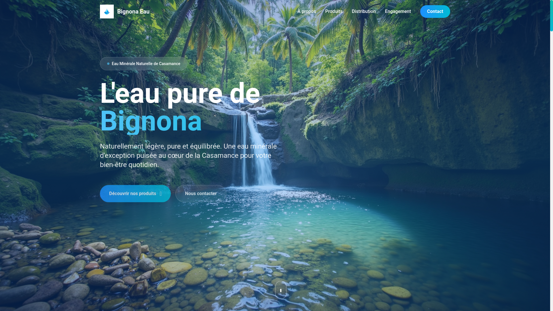 website screenshot of https://bignona-groupe.com/