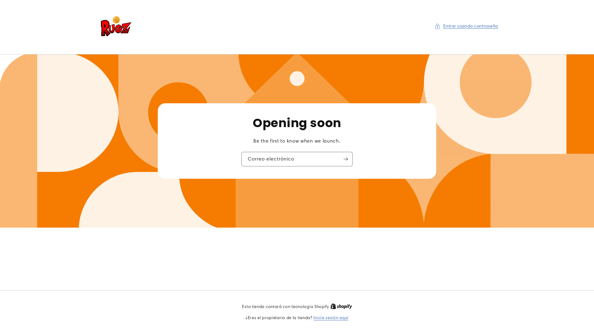 website screenshot of https://dragonrugz.com/