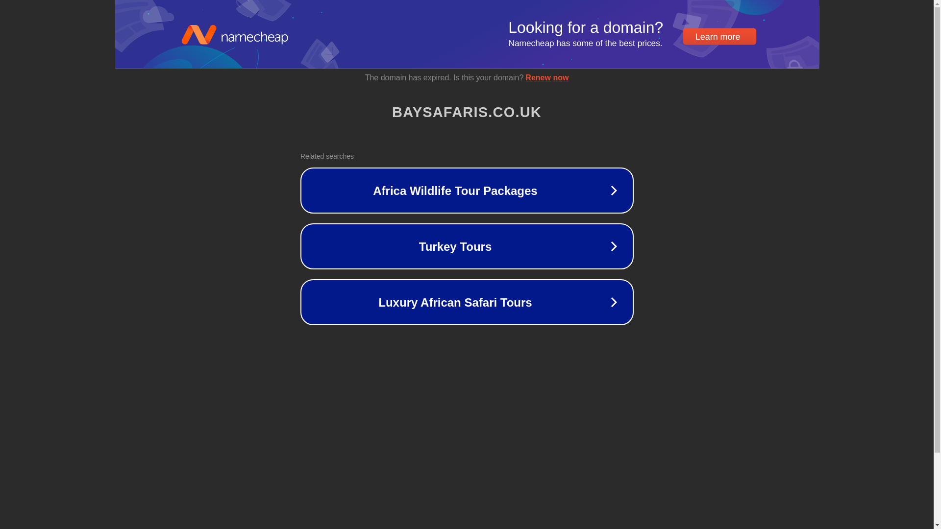website screenshot of https://baysafaris.co.uk/