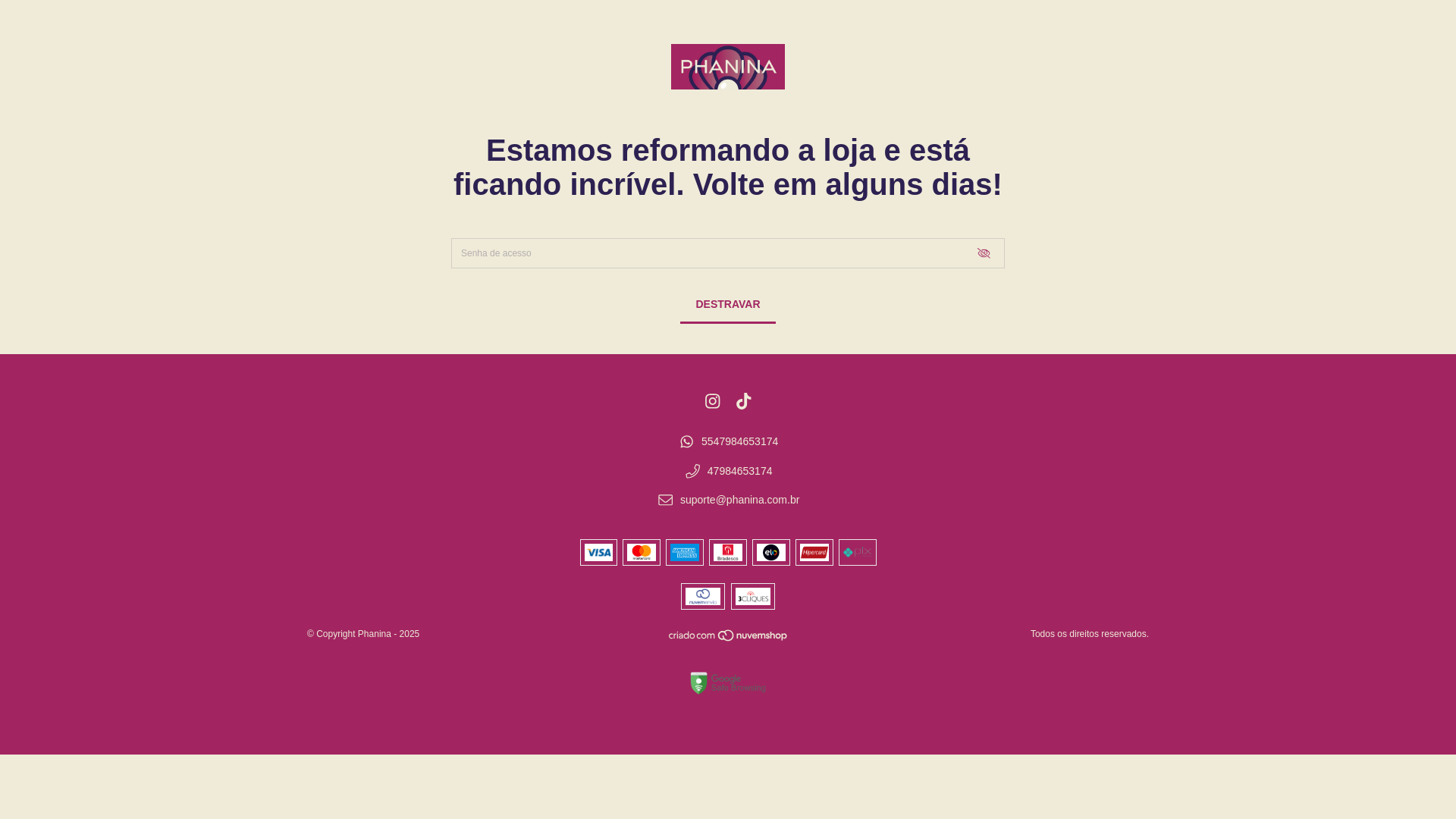website screenshot of https://phanina.com.br/