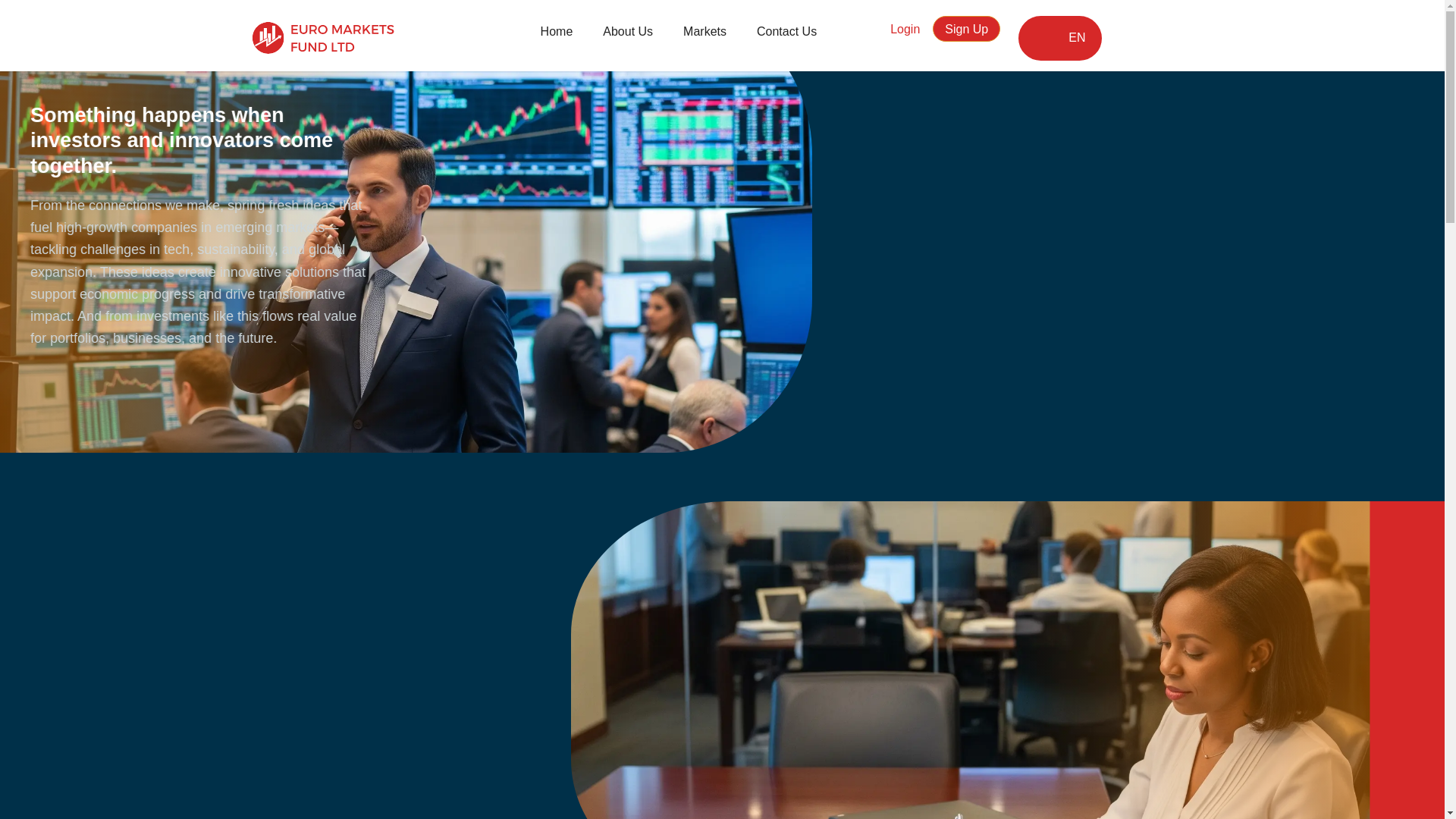 website screenshot of https://euro-marketsfnd.com/