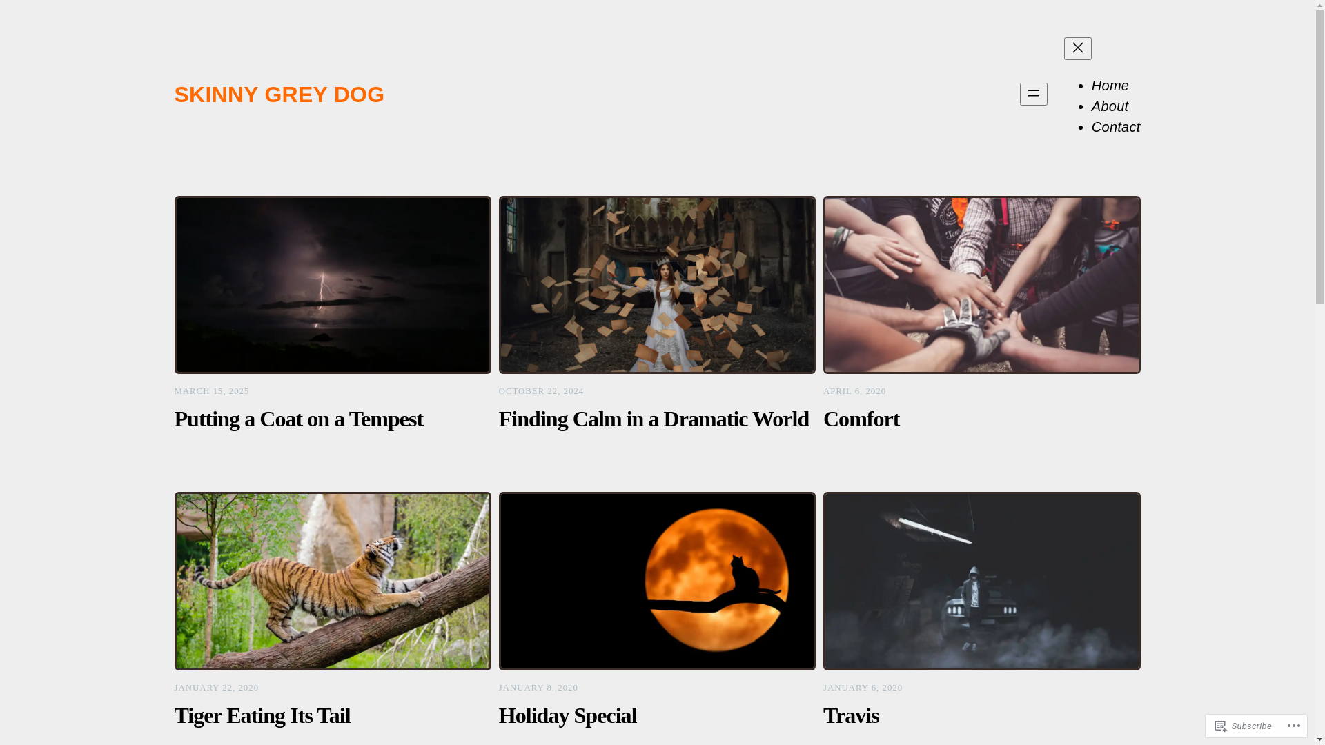 website screenshot of https://kristennoblemiller.com/