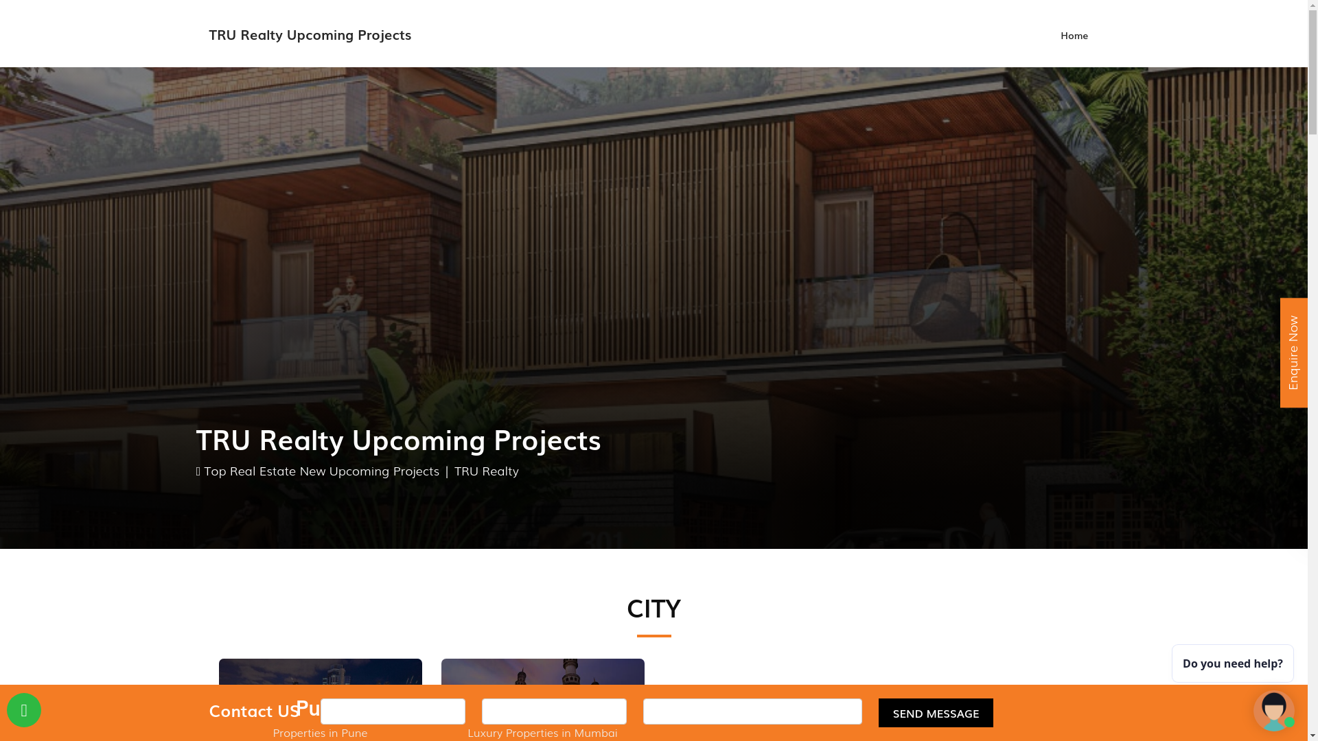 website screenshot of https://trurealtyprojects.com/