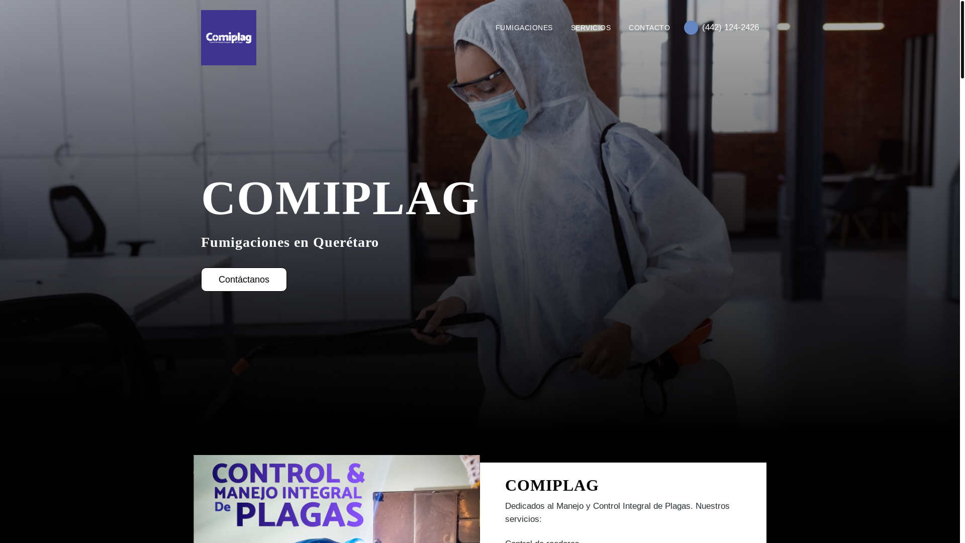 website screenshot of https://andamiosparaconstruccion.com/