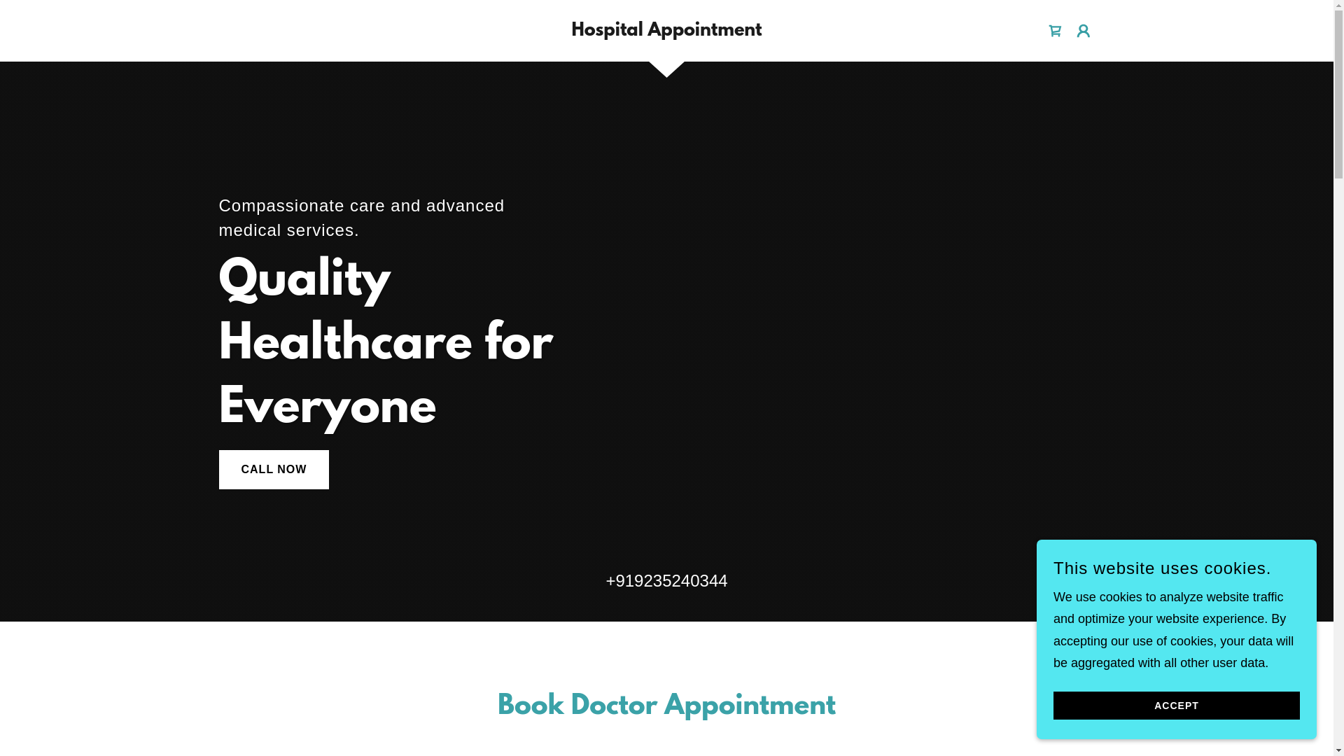 website screenshot of https://doctorappointmentltd.fit/