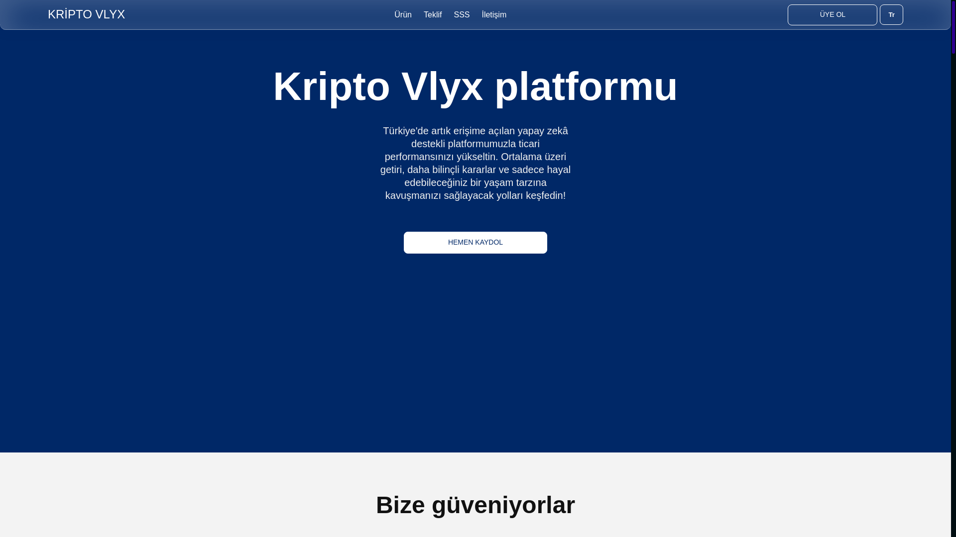 website screenshot of https://kripto-vlyx.com/