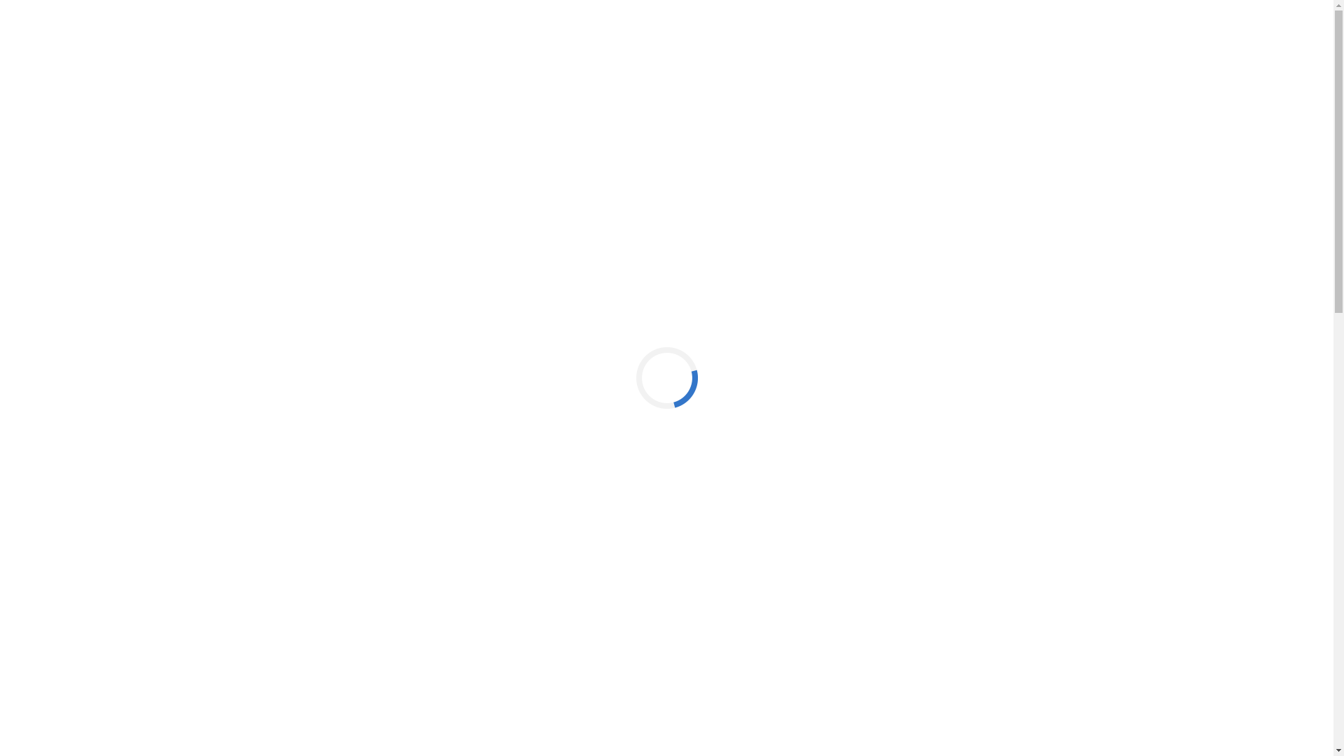 website screenshot of https://technischcareer.com/