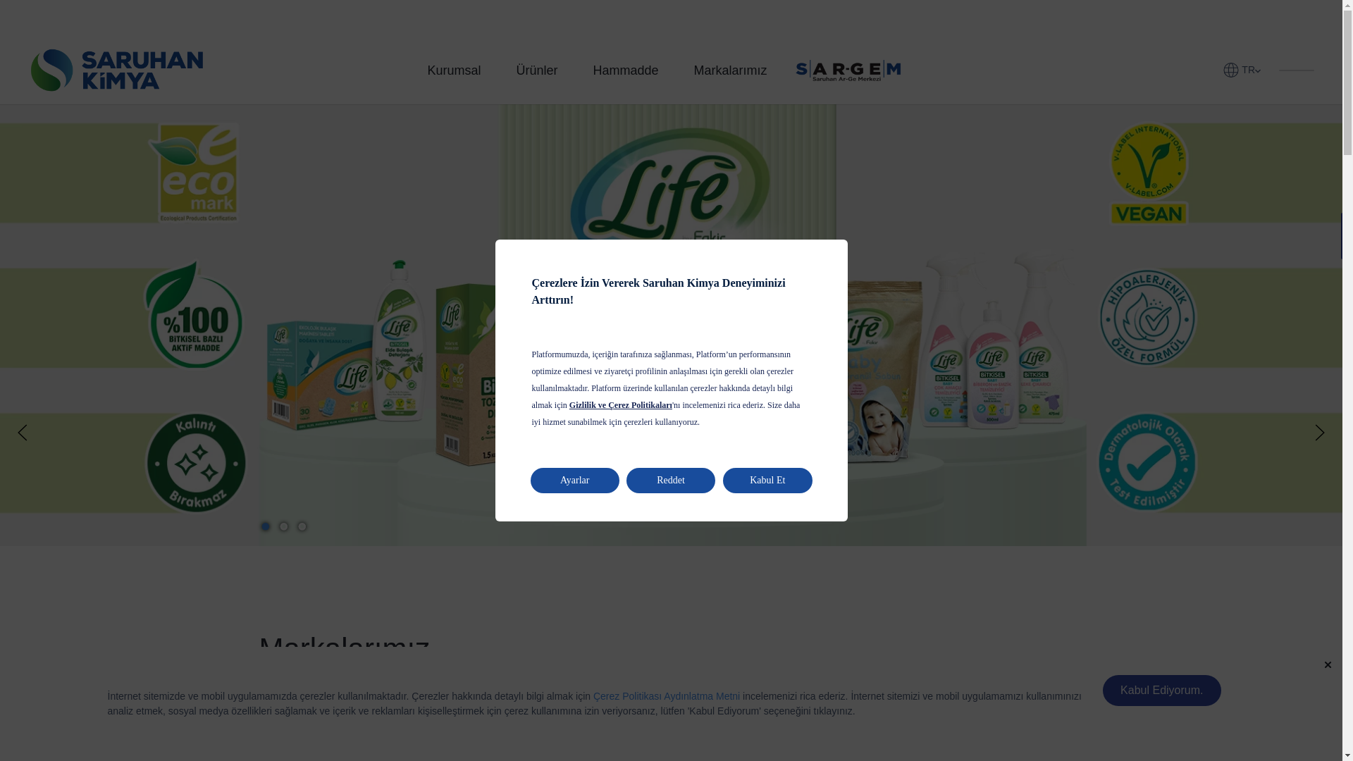 website screenshot of https://saruhanexport.com.tr/