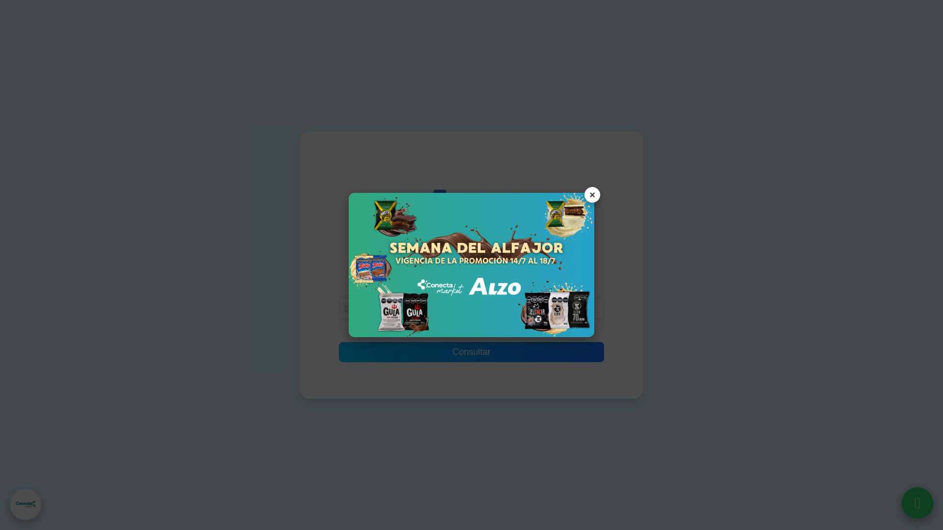 website screenshot of https://alzologistica.com/