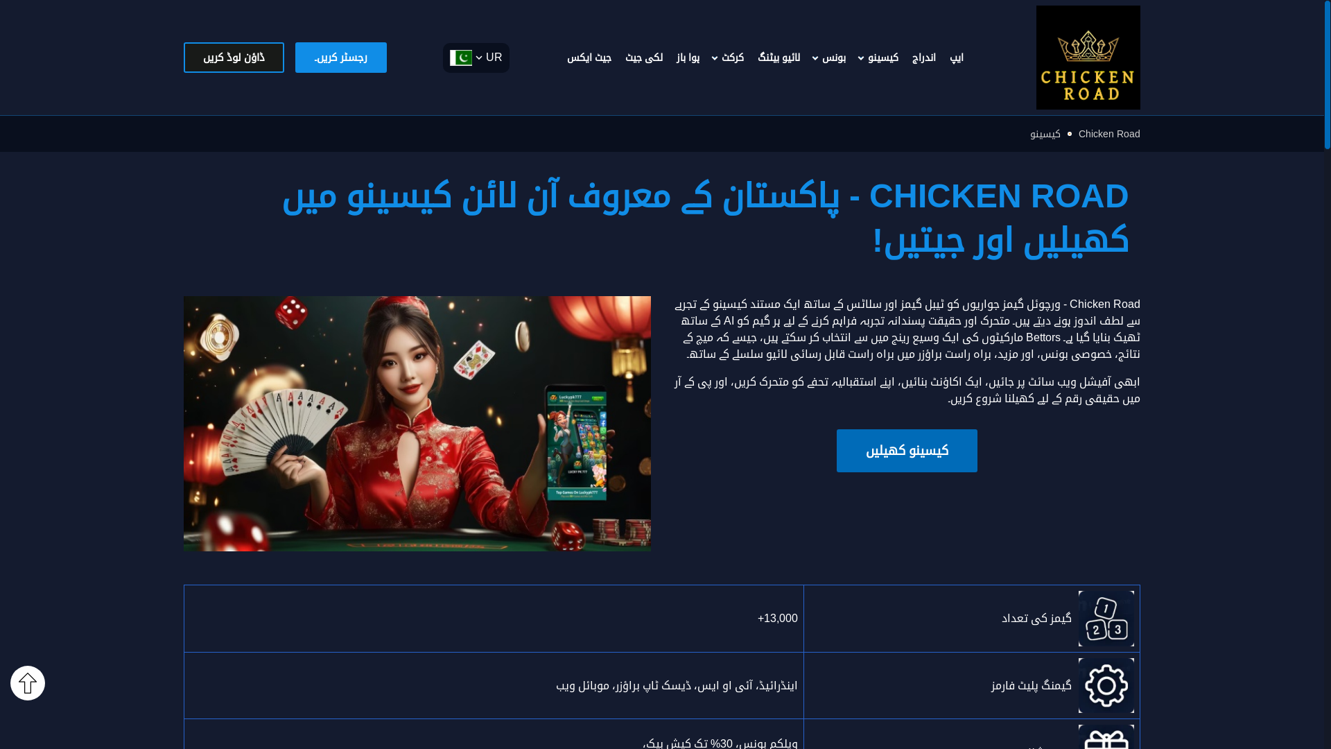 website screenshot of https://achickenroadpk.com/