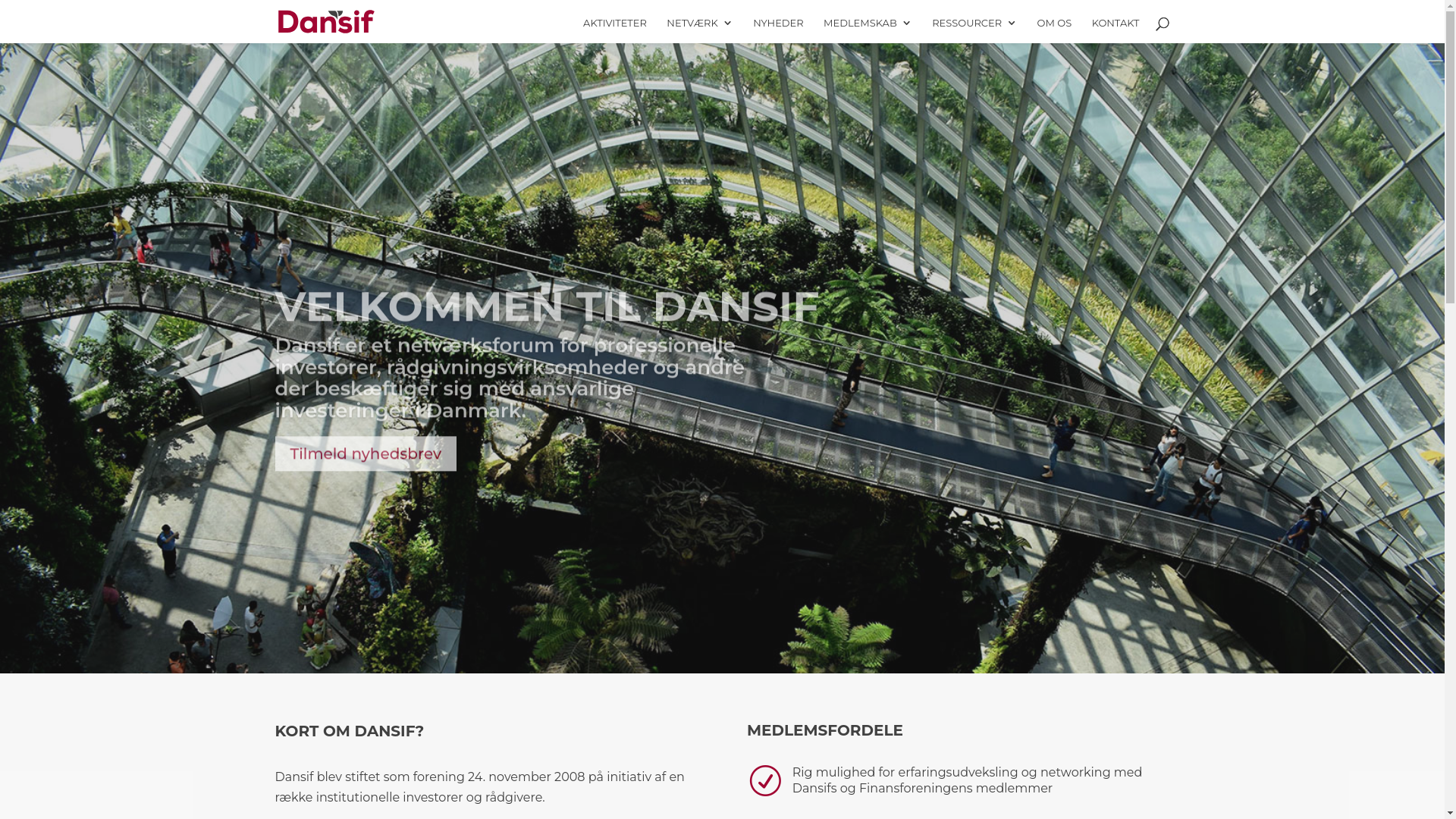 website screenshot of https://dekkasarusultiman.com/