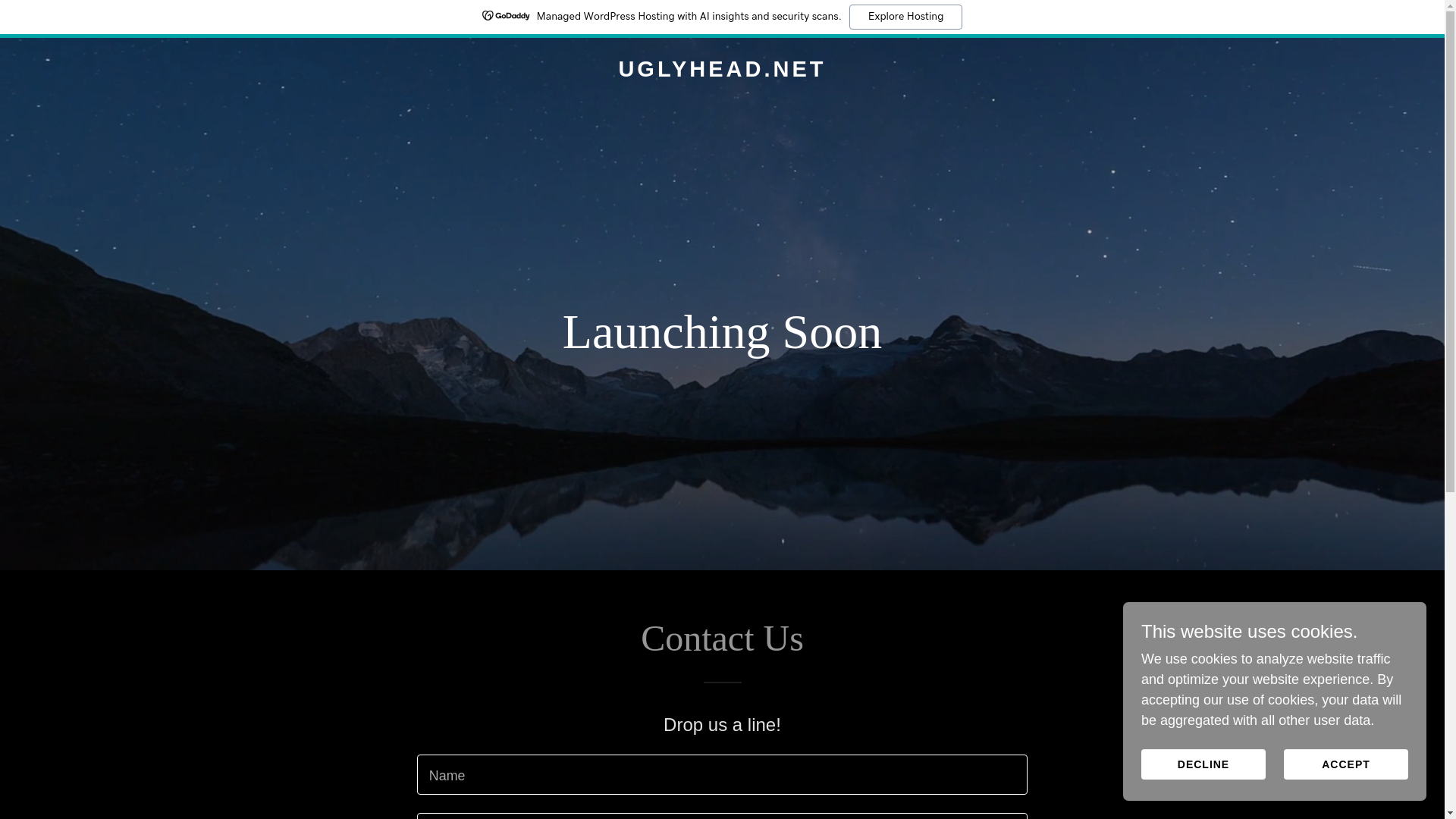 website screenshot of https://uglyhead.net/