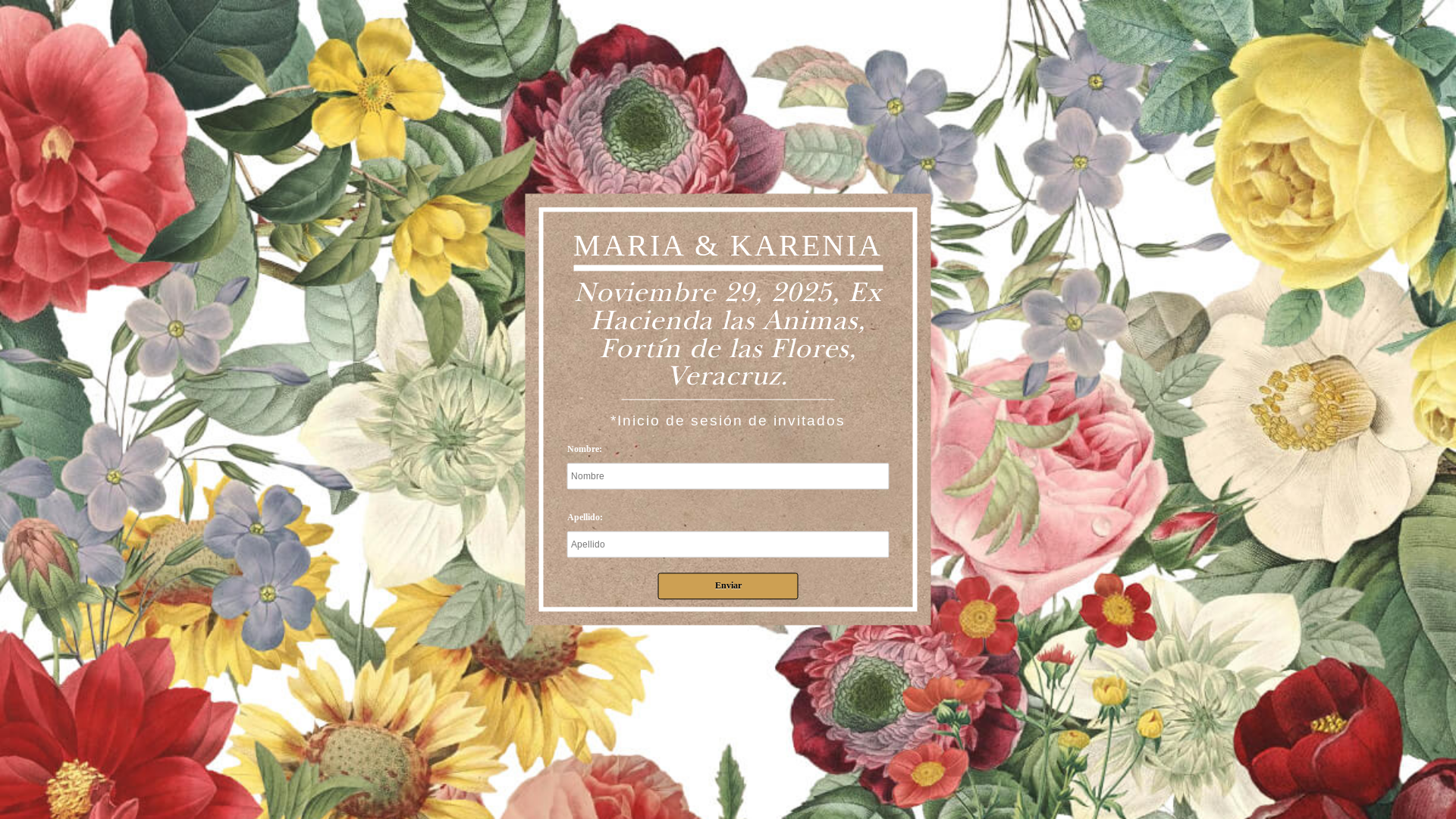 website screenshot of https://bodamariaykarenia.com/