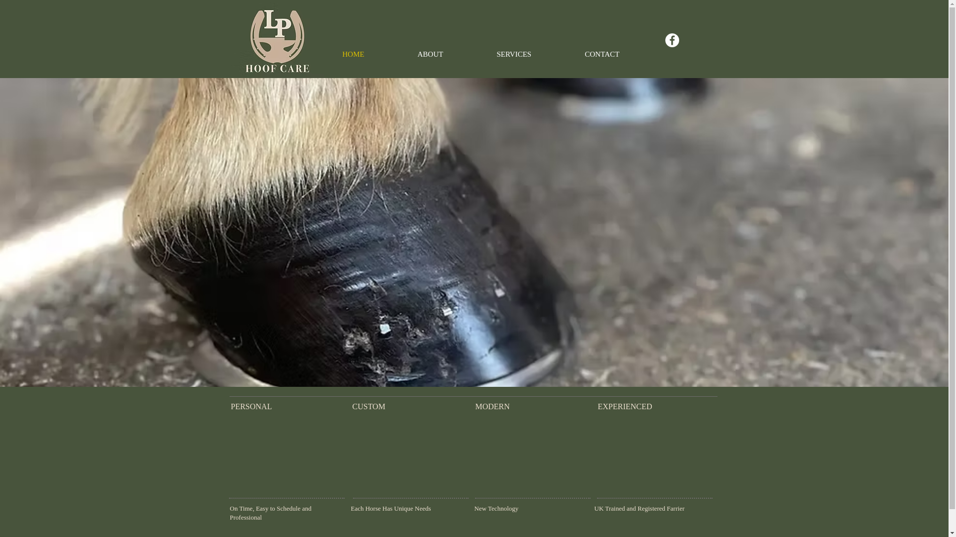 website screenshot of https://lphoofcare.com/