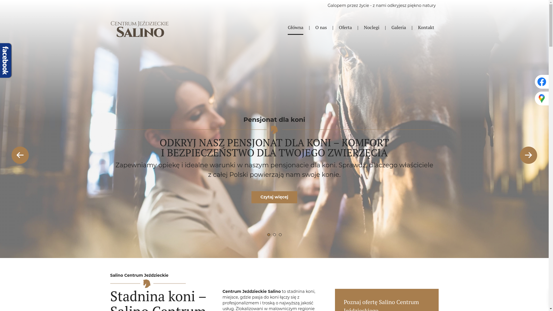 website screenshot of https://jezdzieckiecentrum.pl/
