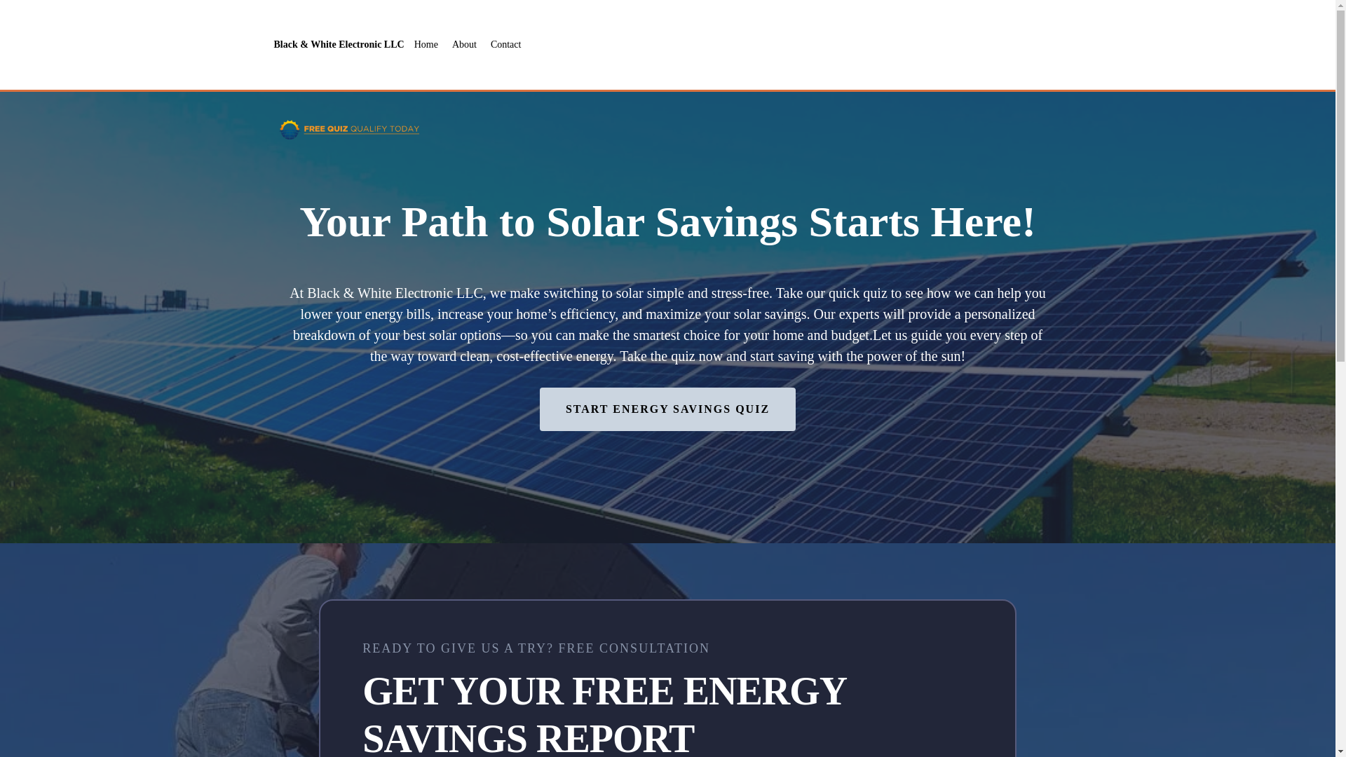 website screenshot of https://blackwhiteelectronicllc.com/
