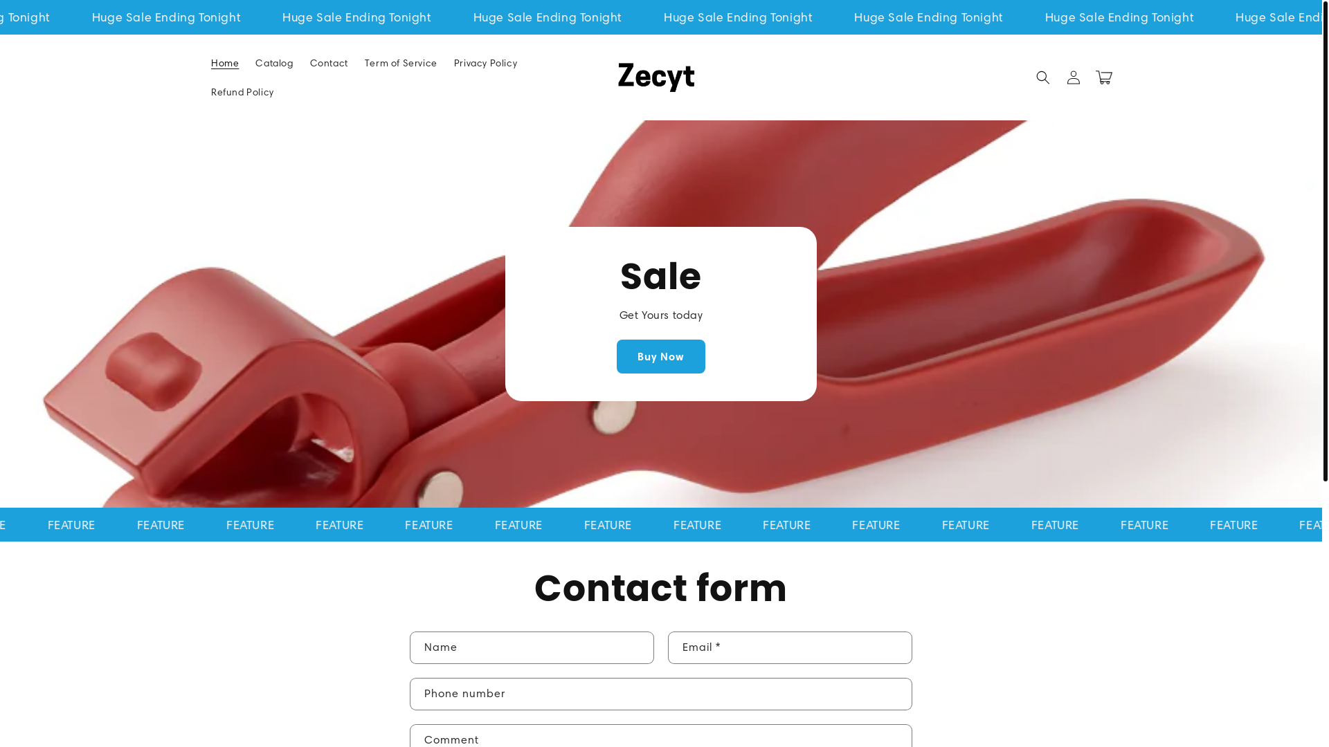 website screenshot of https://zecyt.com/