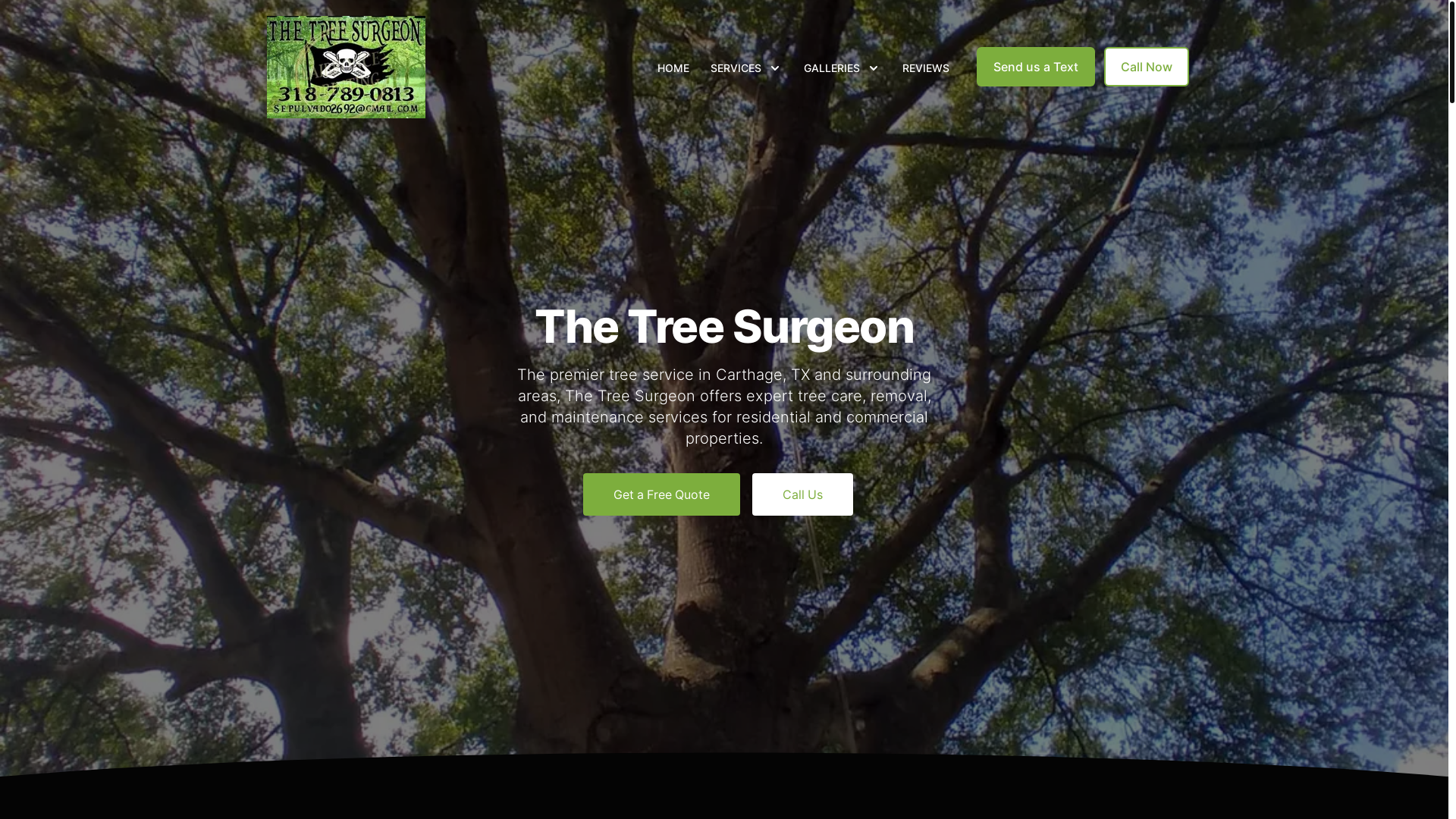website screenshot of https://thetreesurgeontx.com/
