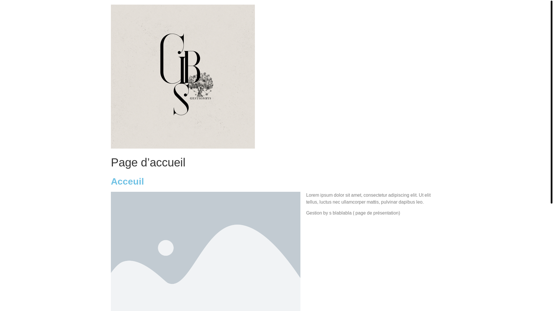 website screenshot of https://sarahvidal.fr/