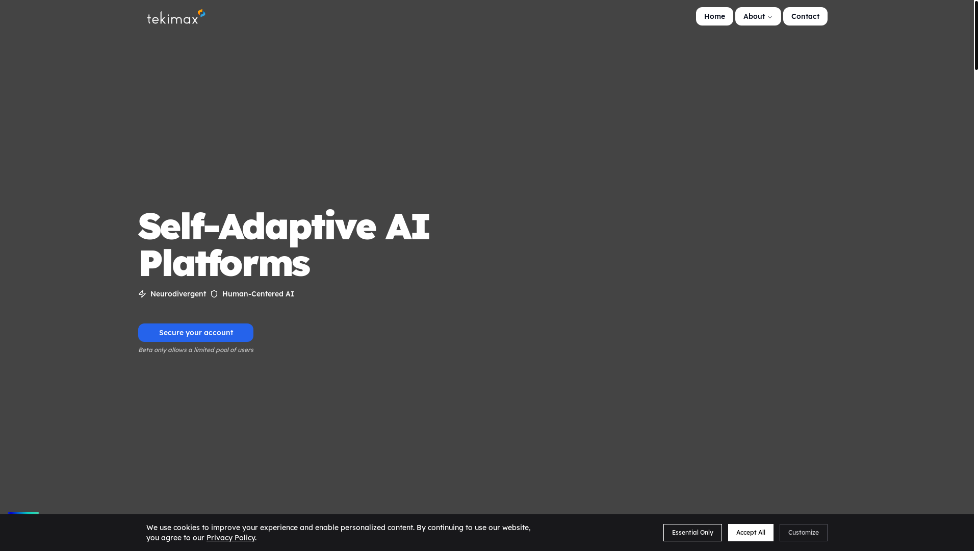 website screenshot of https://tekimax-portal-v2.pages.dev/