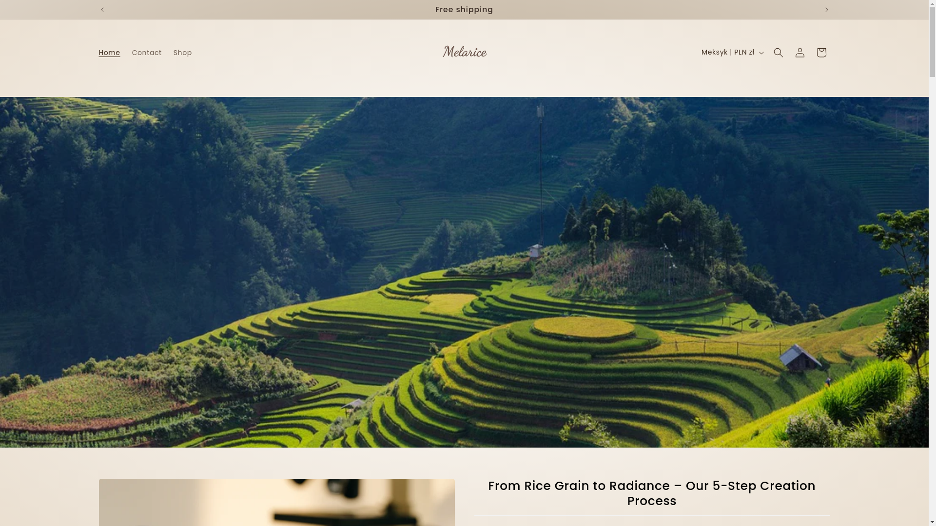 website screenshot of https://melarice.com/