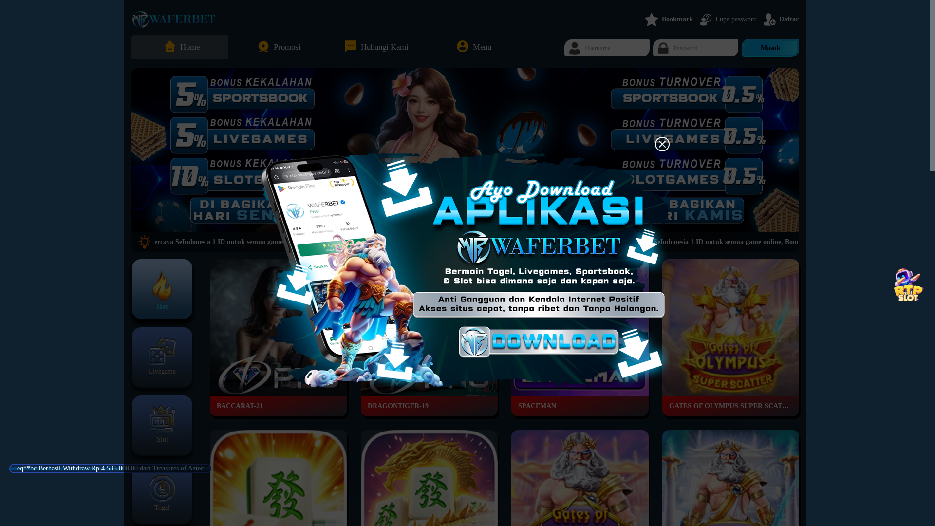 website screenshot of https://waferbet.club/