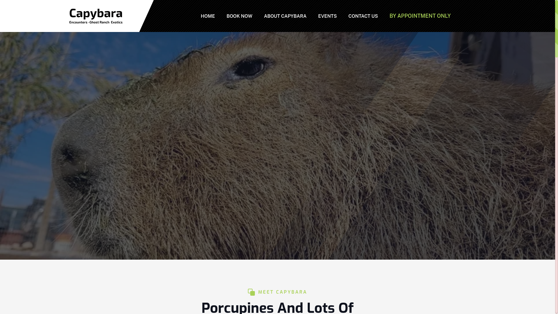 website screenshot of https://www.ghostranchexotics.com/