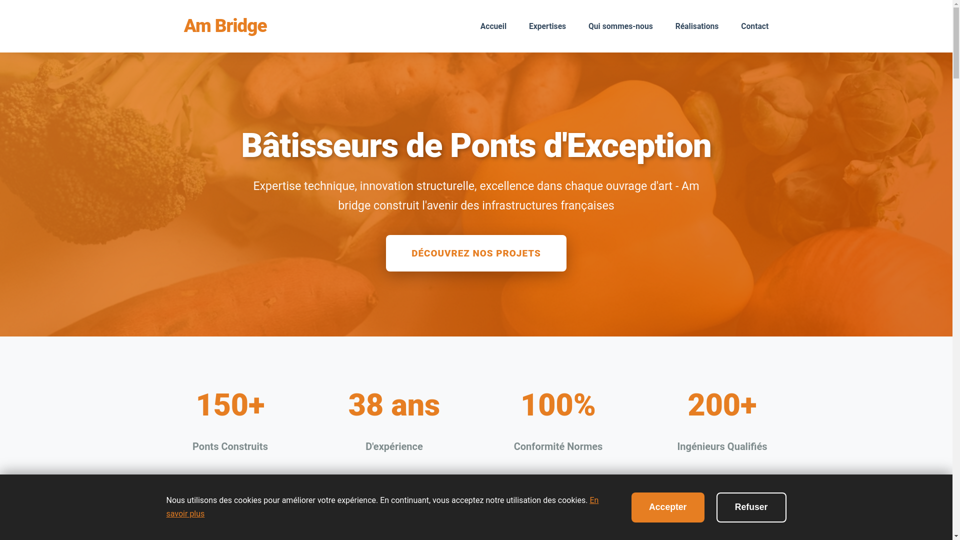 website screenshot of https://bridge-em.com/