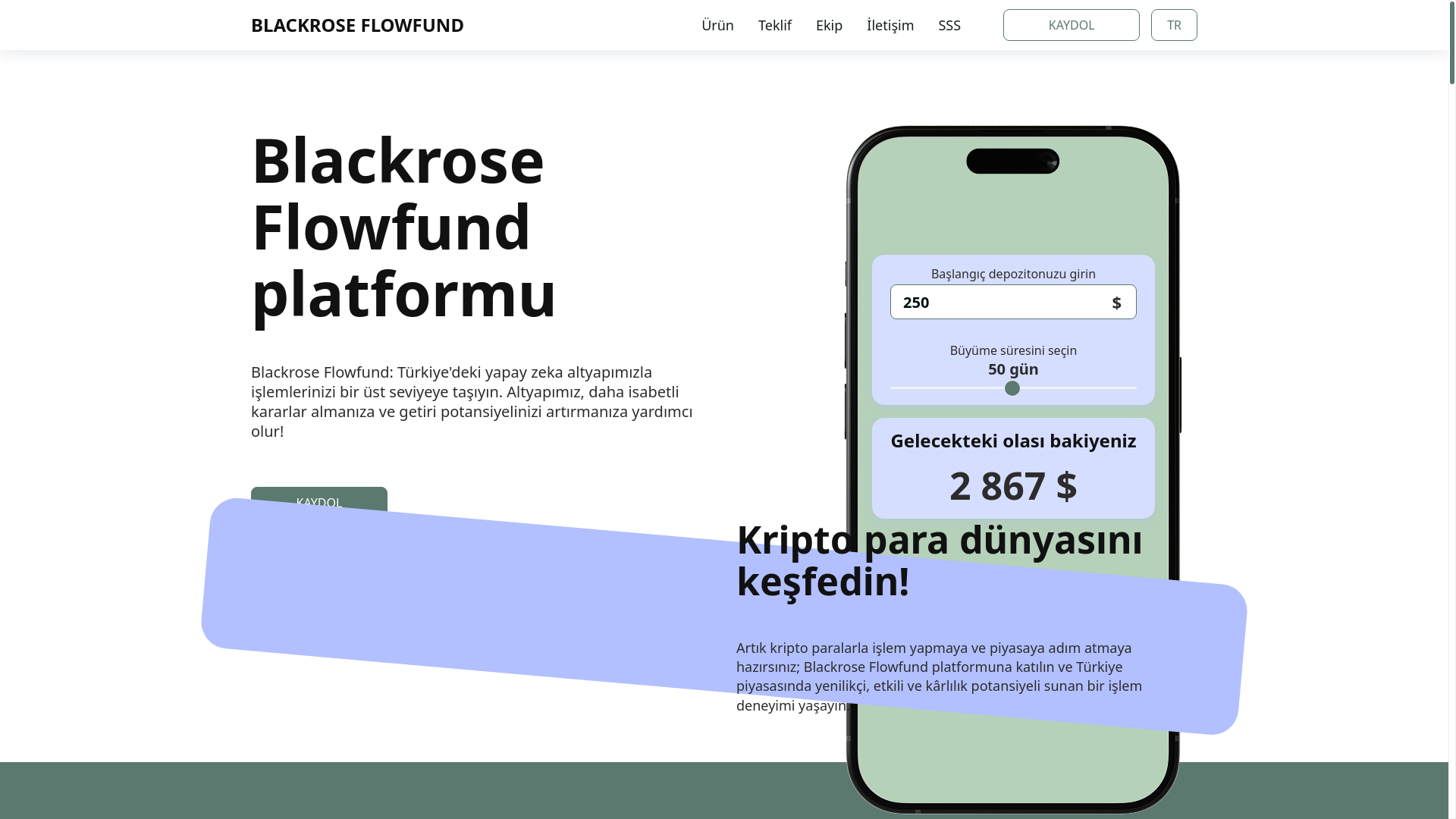 website screenshot of https://blackrose-flowfund.com/