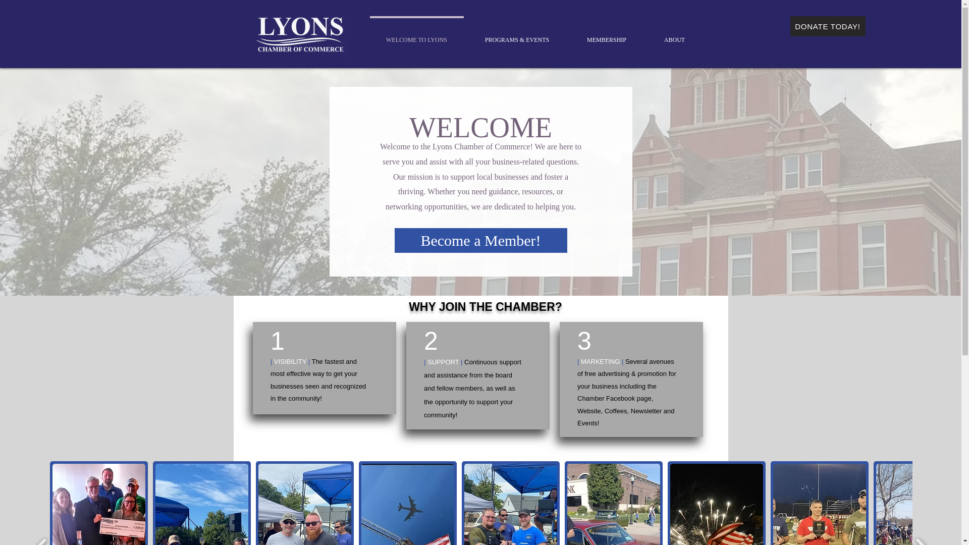 website screenshot of https://lyonskansaschamber.com/