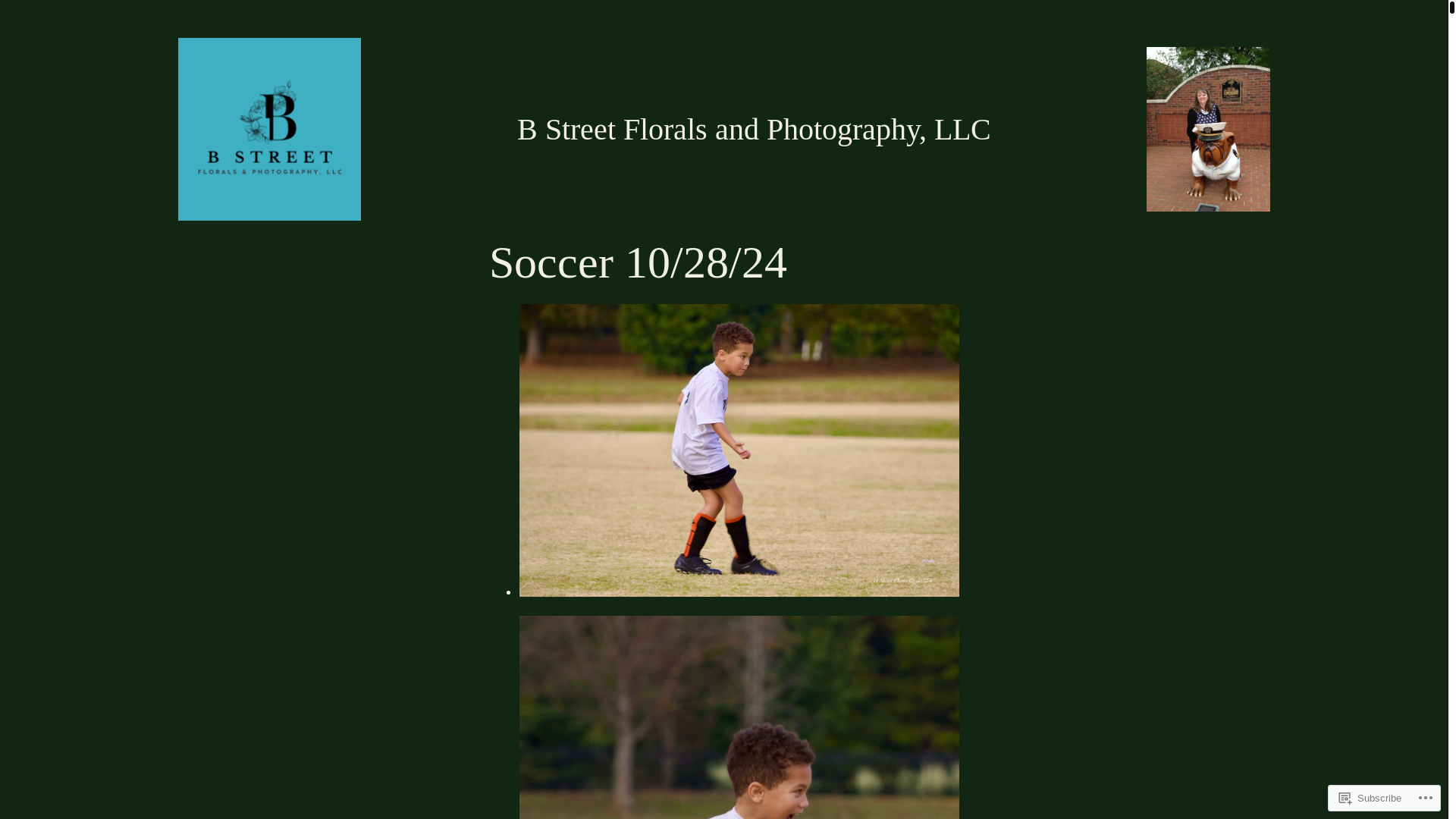 website screenshot of https://bgrant814.com/