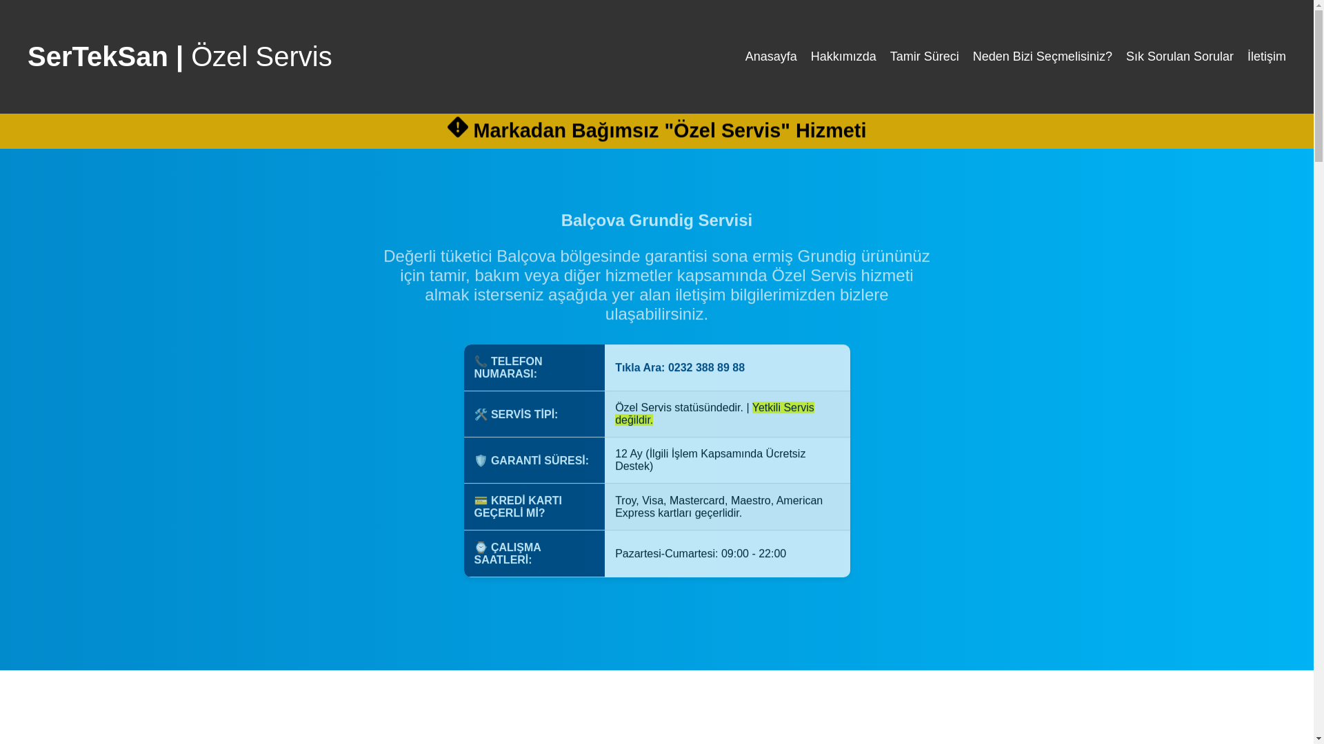 website screenshot of https://grundigservisibalcova.net.tr/