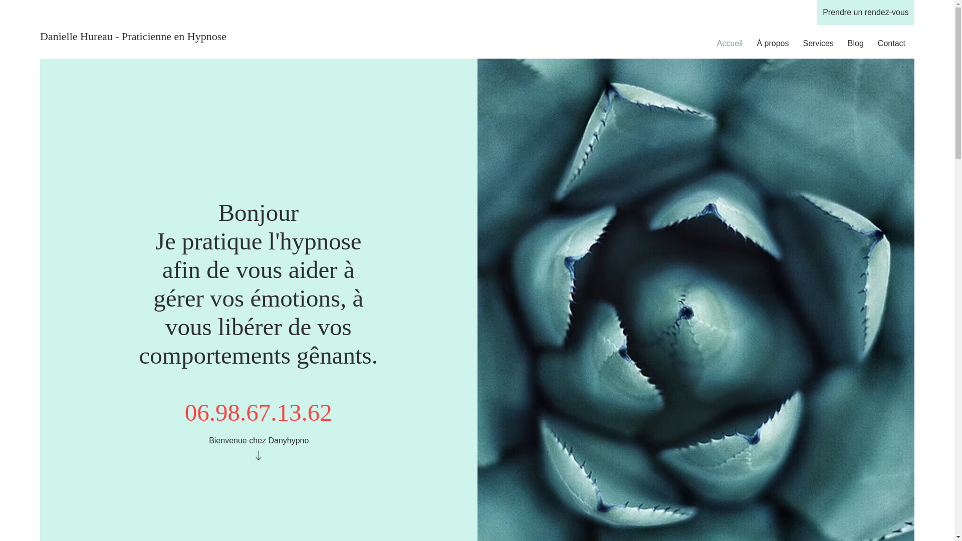 website screenshot of https://danyhypno.com/