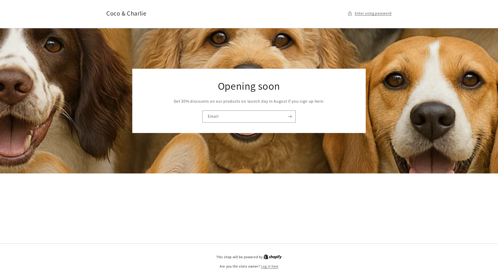 website screenshot of https://cocoandcharlie.shop/
