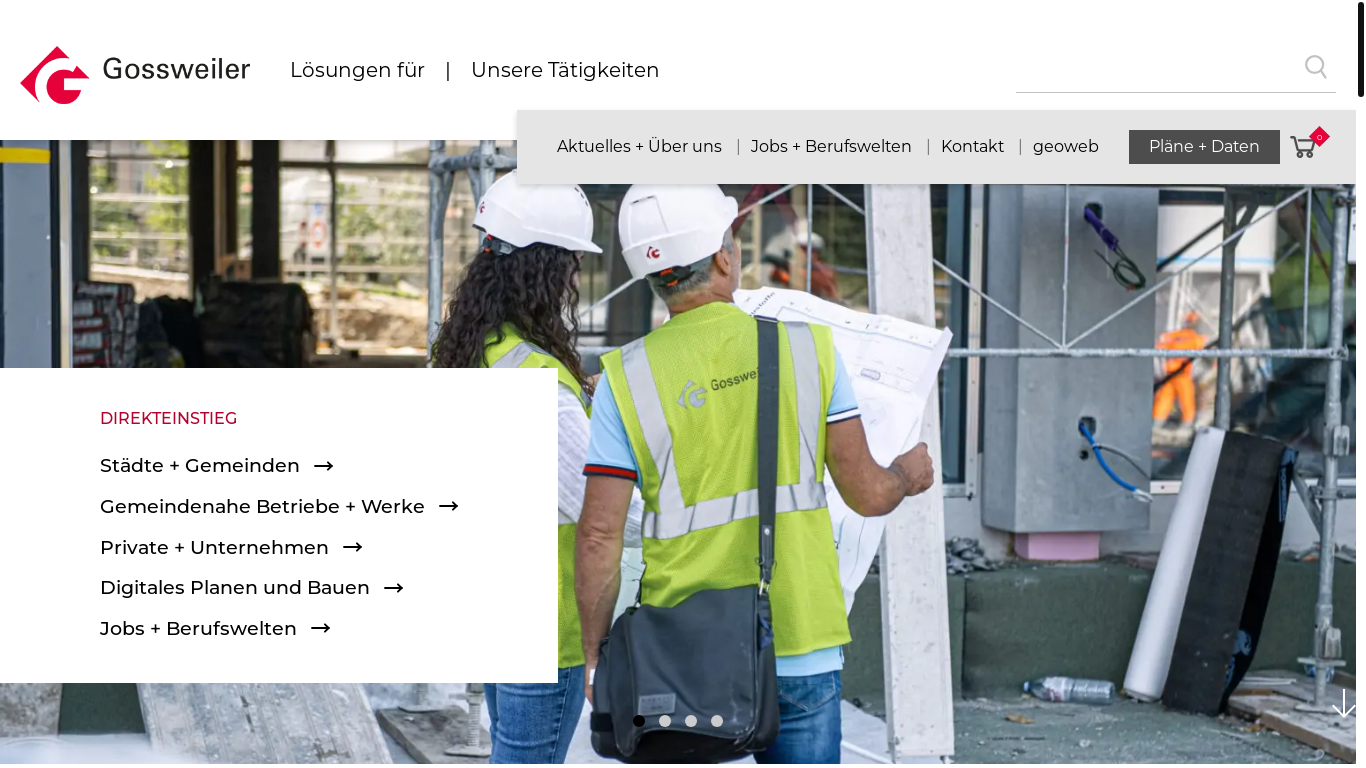 website screenshot of https://www.gossweiler.com