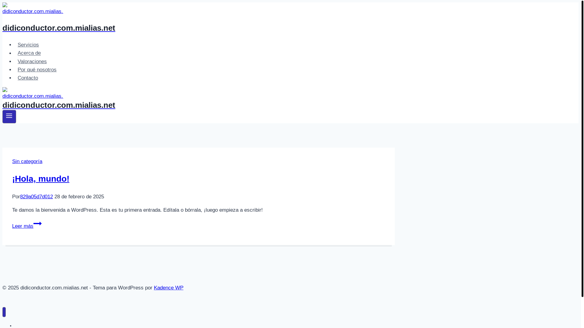 website screenshot of https://didiargentinaconductor.online/