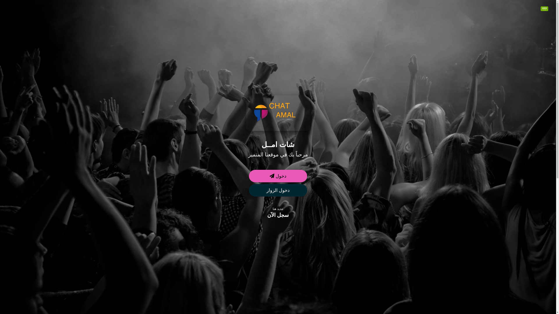 website screenshot of https://amola.site/