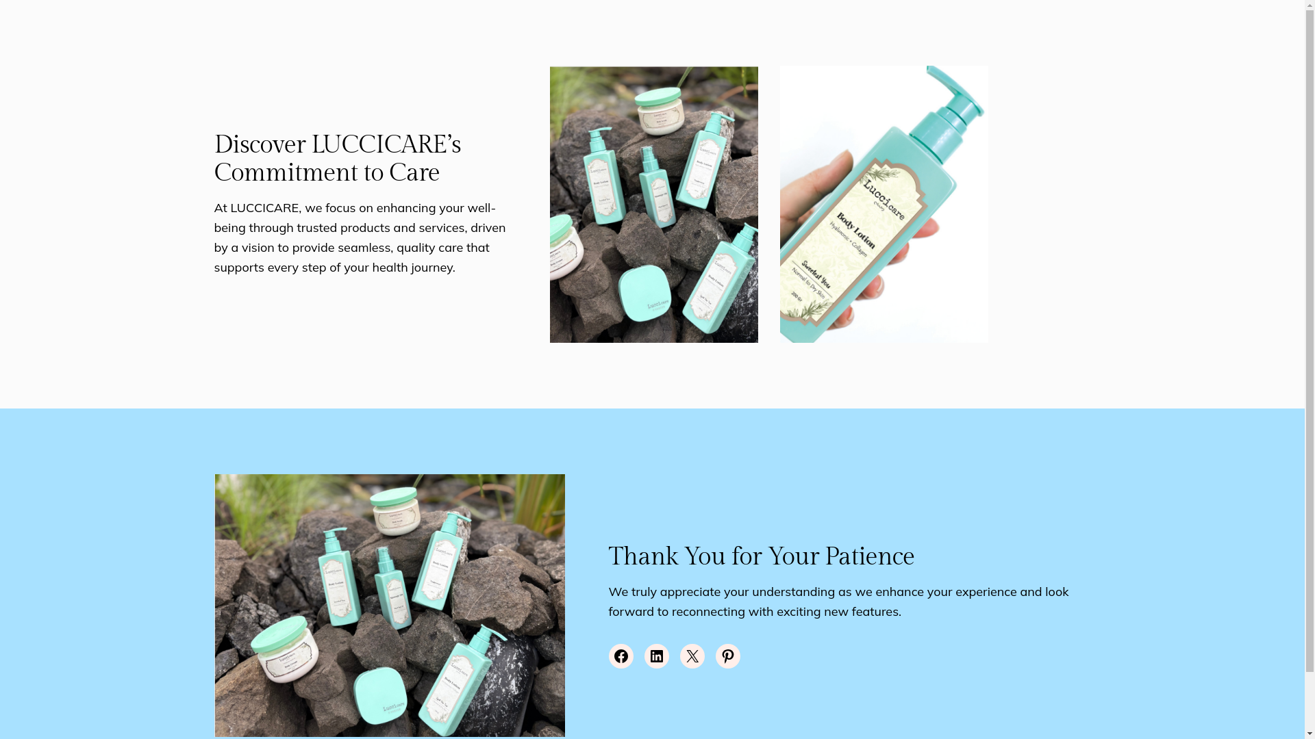 website screenshot of https://luccicare.id/