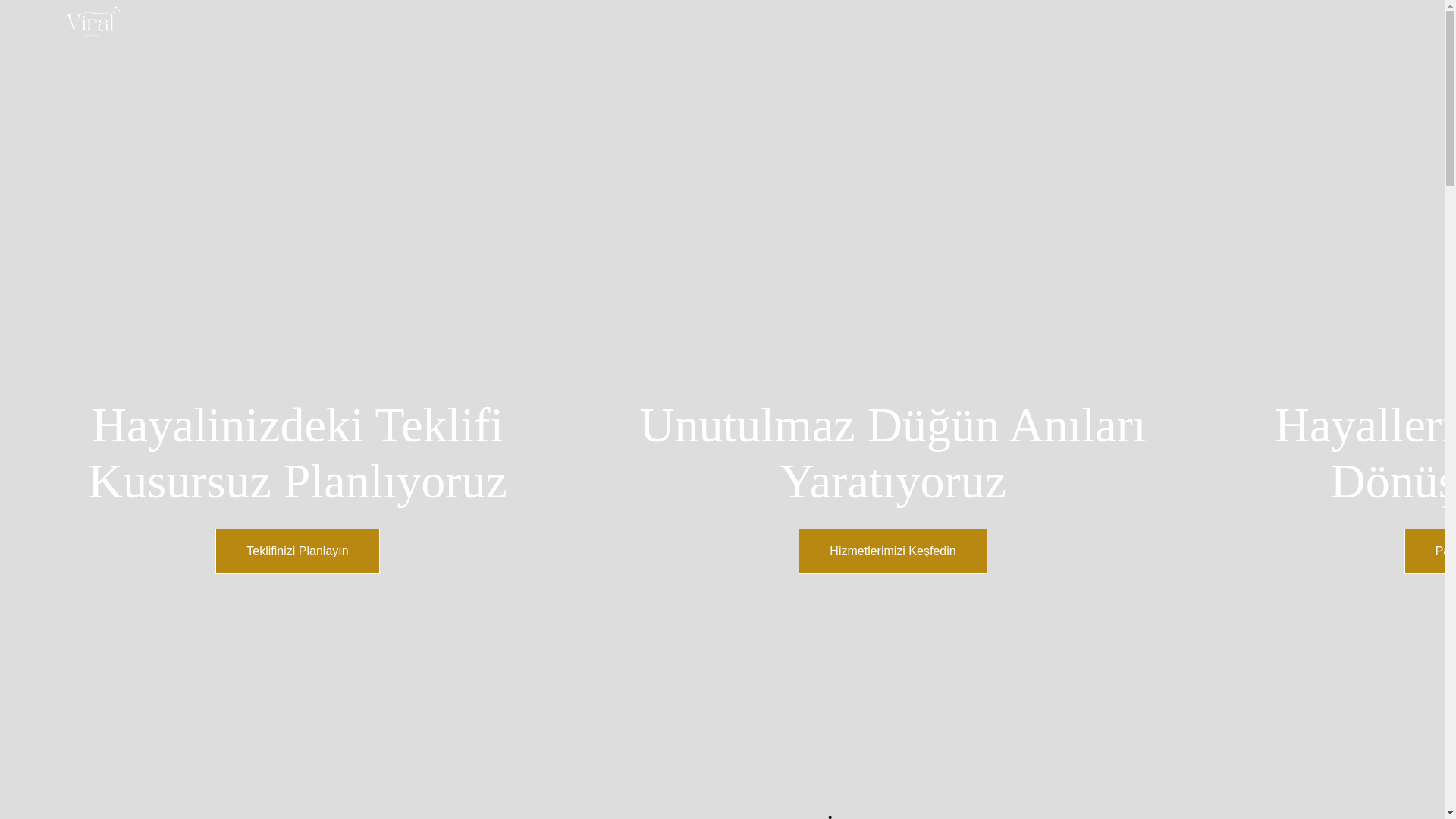 website screenshot of https://antalyaviralorganizasyon.com/