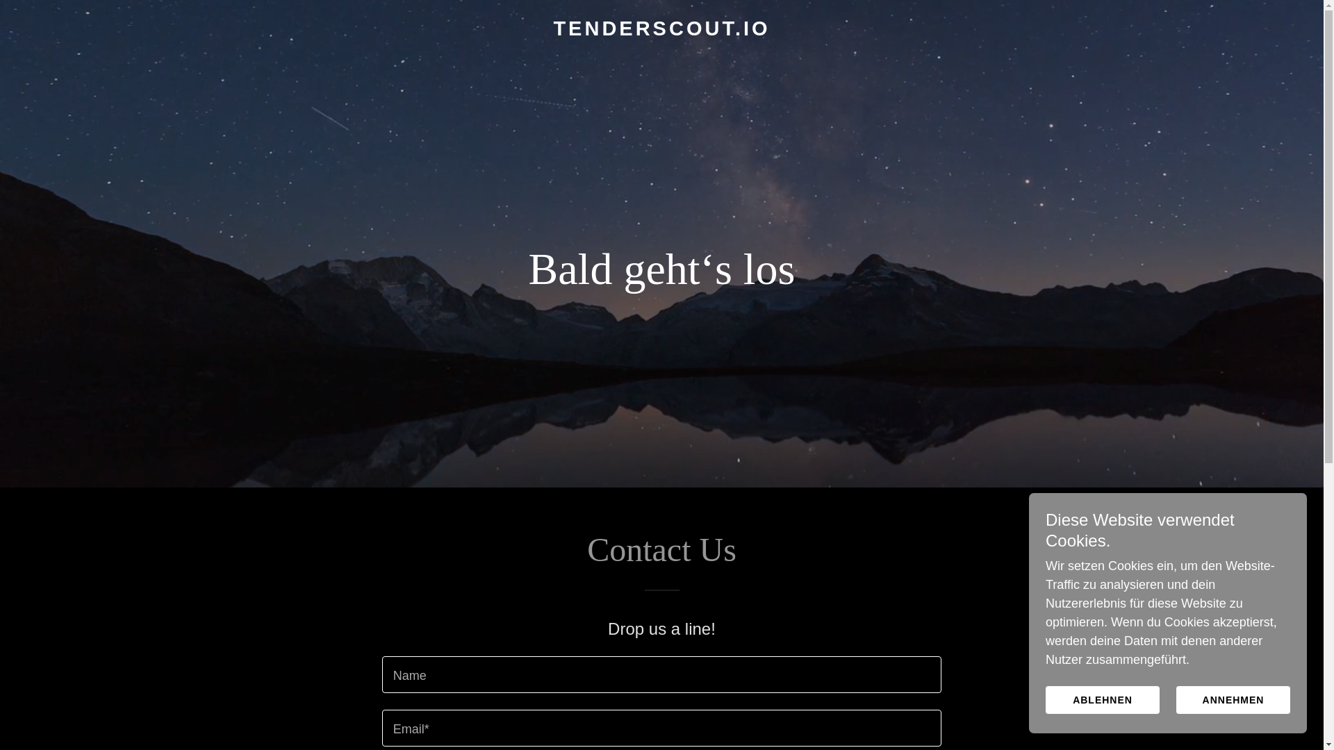 website screenshot of https://tenderscout.io/