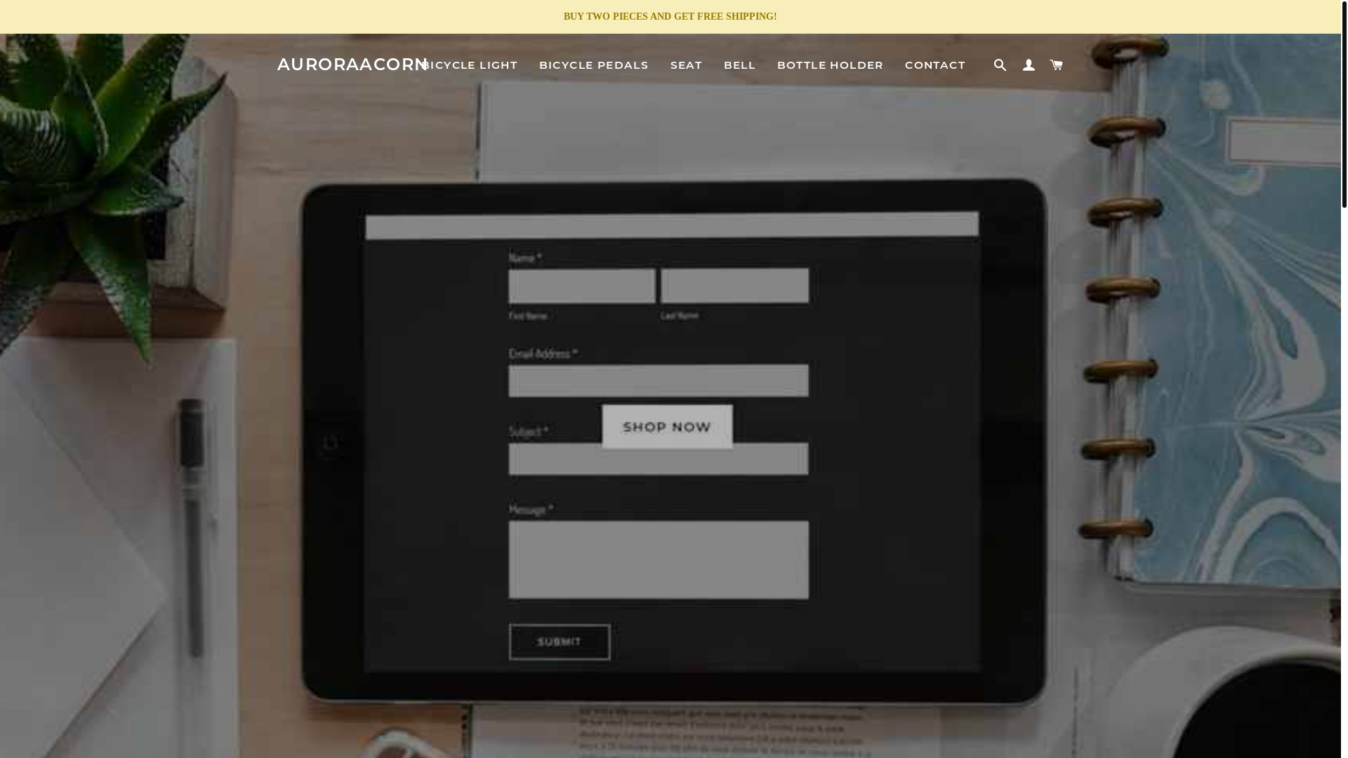 website screenshot of https://auroraacorn.top/