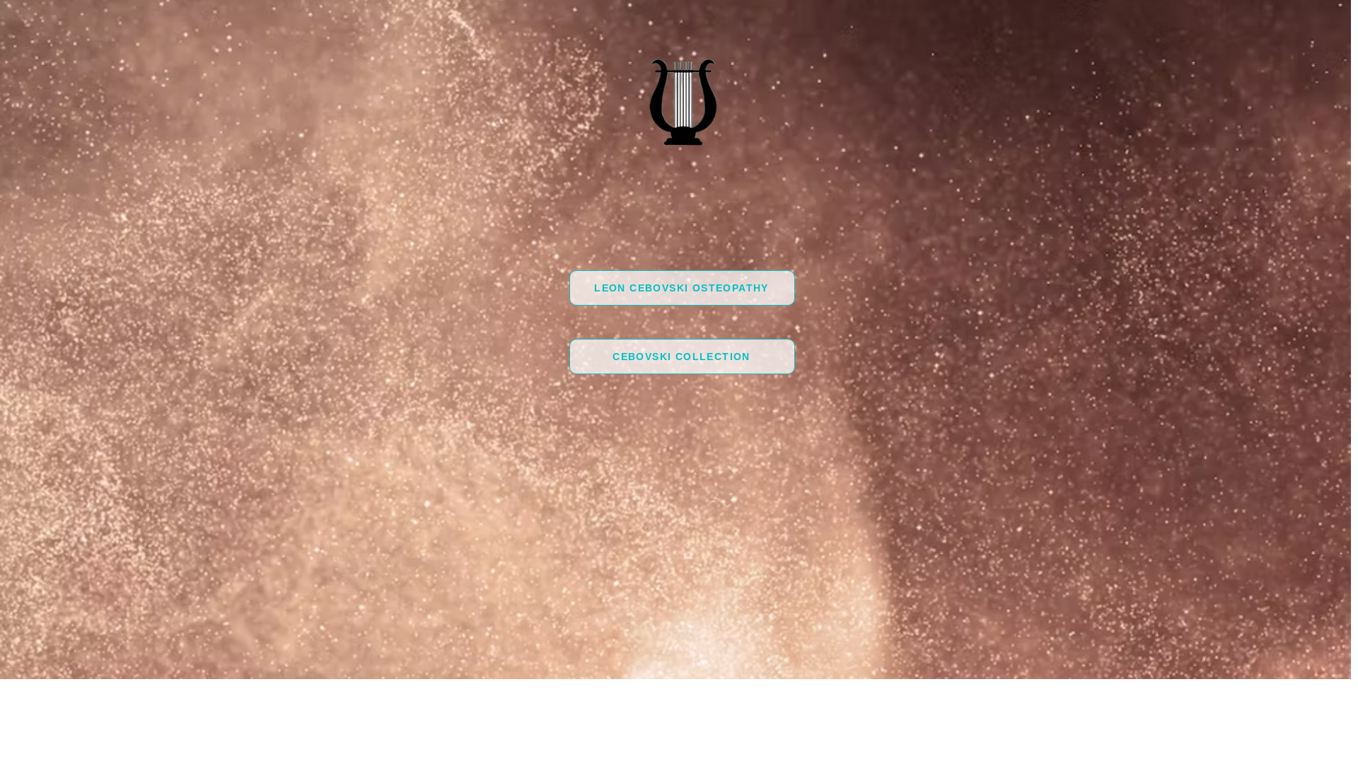 website screenshot of https://leoncebovski.com/