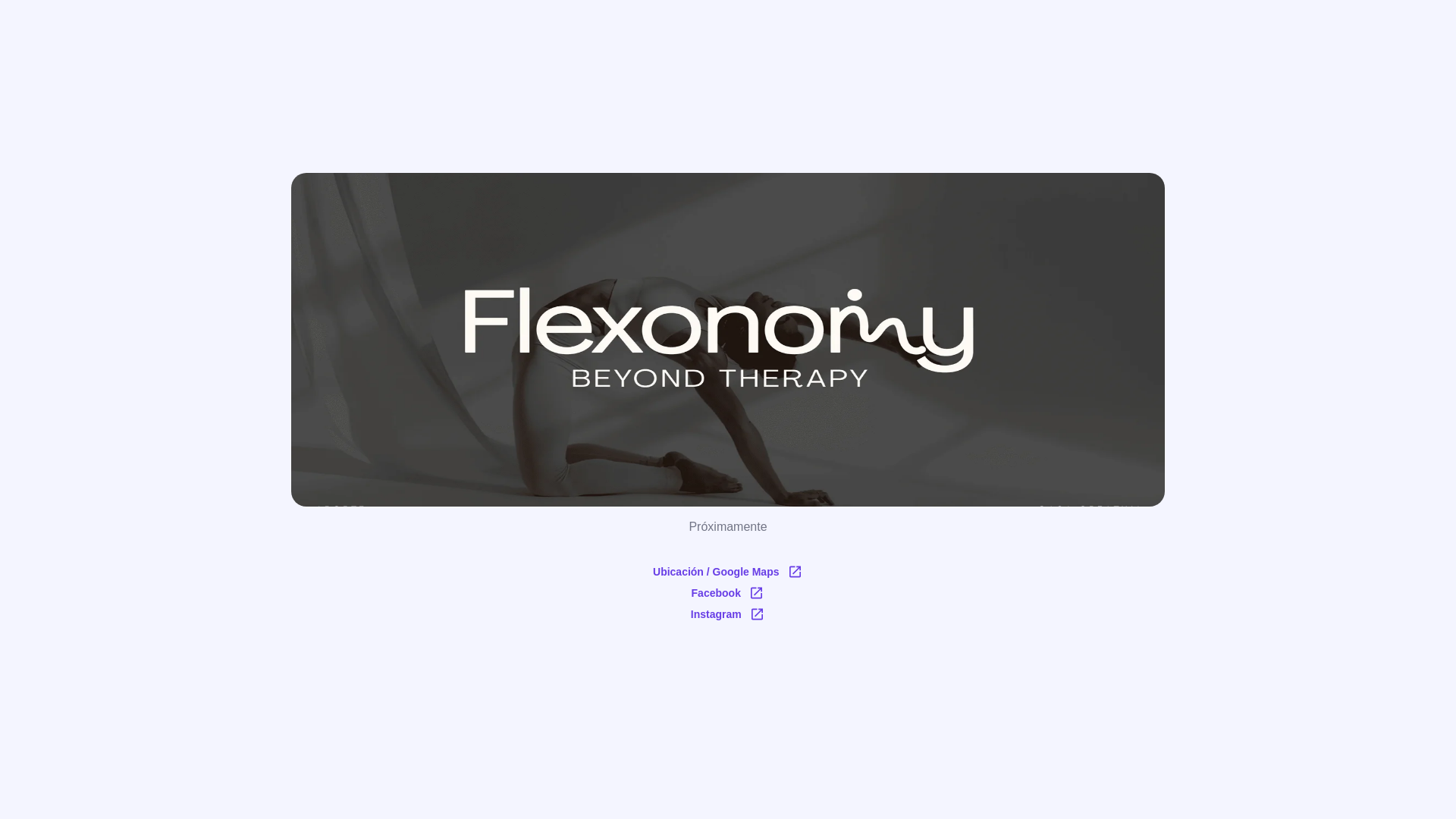 website screenshot of https://flexonomy.mx/
