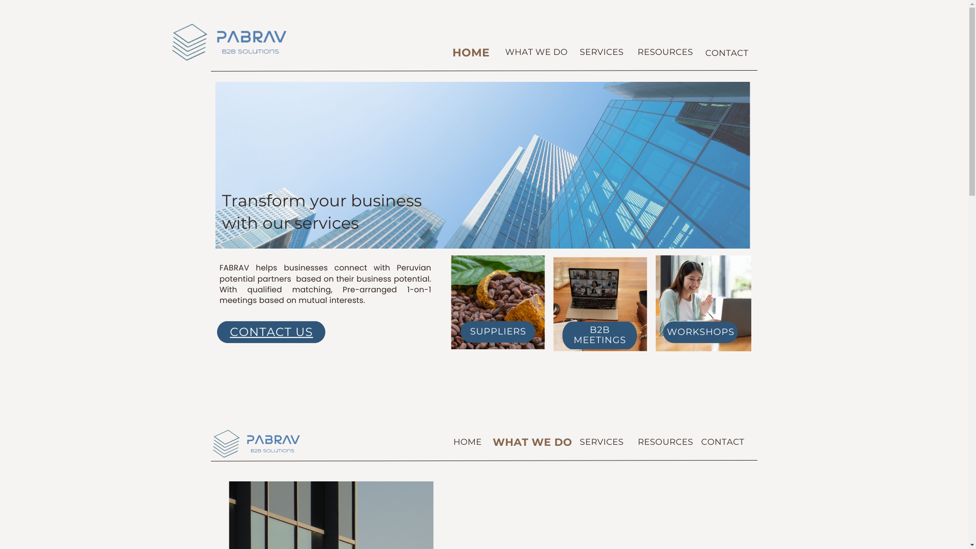 website screenshot of https://pabrav.lat/