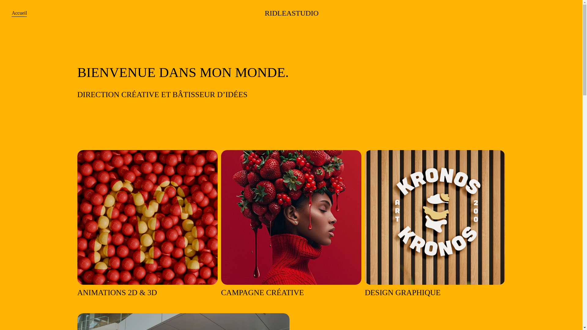website screenshot of https://ridleastudio.com/